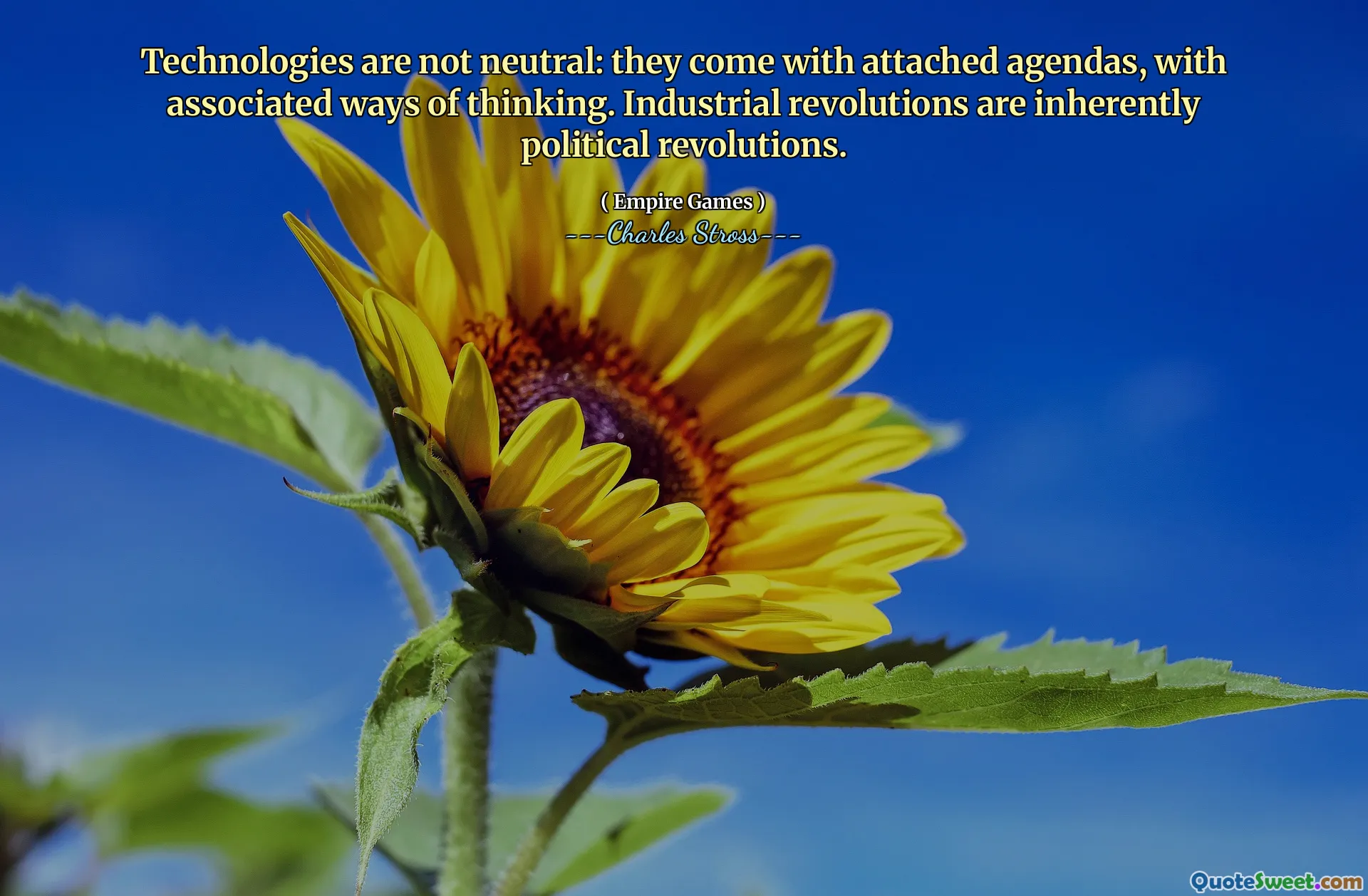 Technologies are not neutral: they come with attached agendas, with associated ways of thinking. Industrial revolutions are inherently political revolutions.