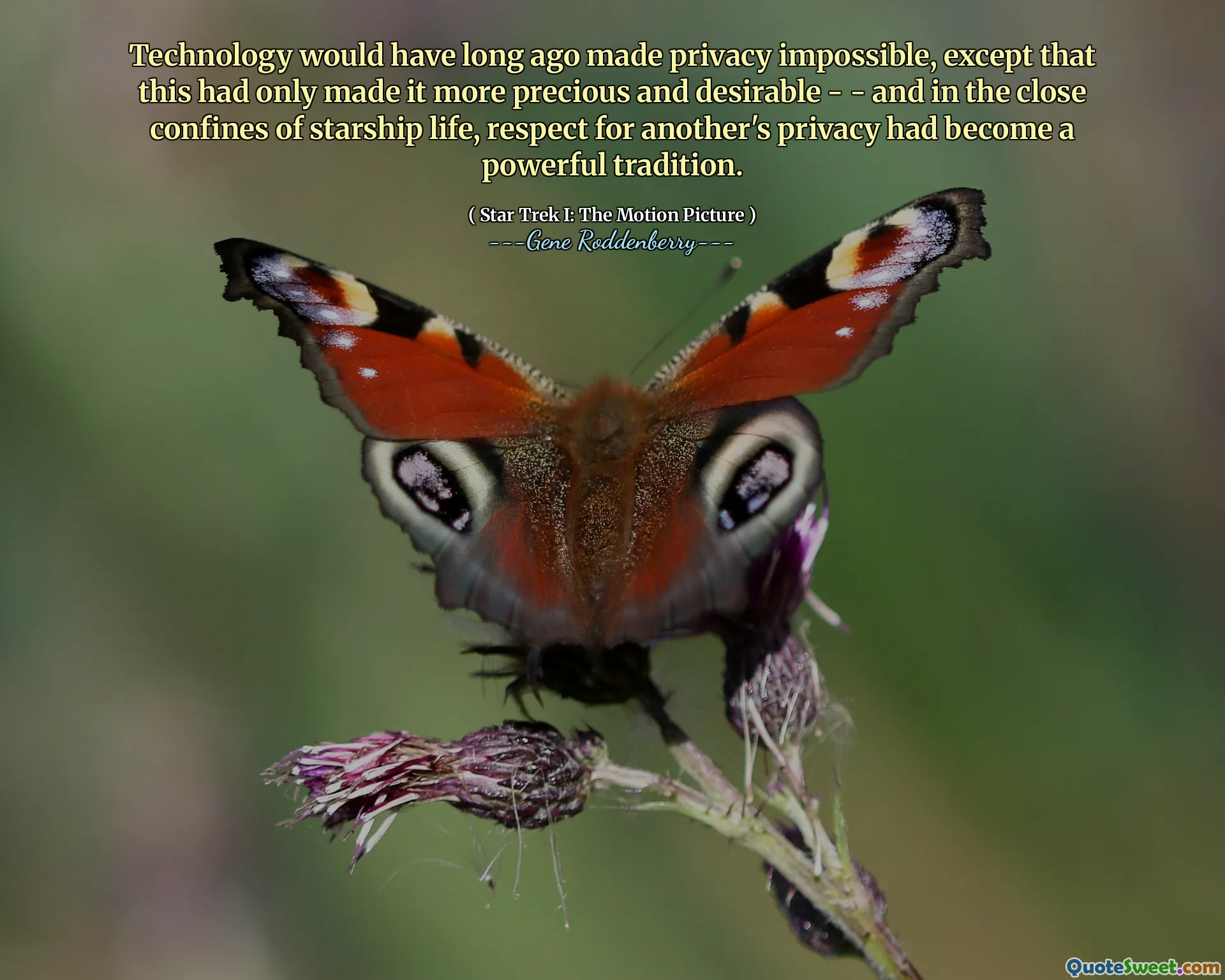 Technology would have long ago made privacy impossible, except that this had only made it more precious and desirable - - and in the close confines of starship life, respect for another's privacy had become a powerful tradition.