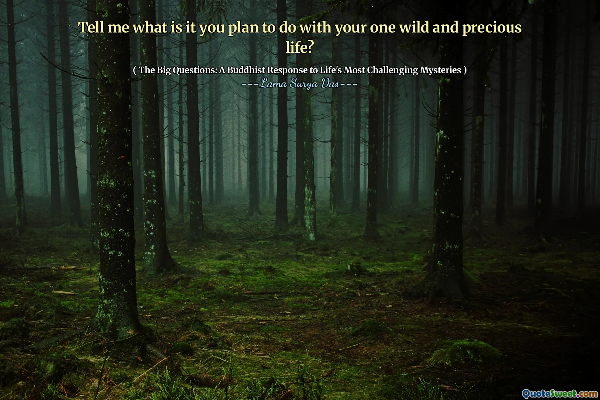Tell me what is it you plan to do with your one wild and precious life?