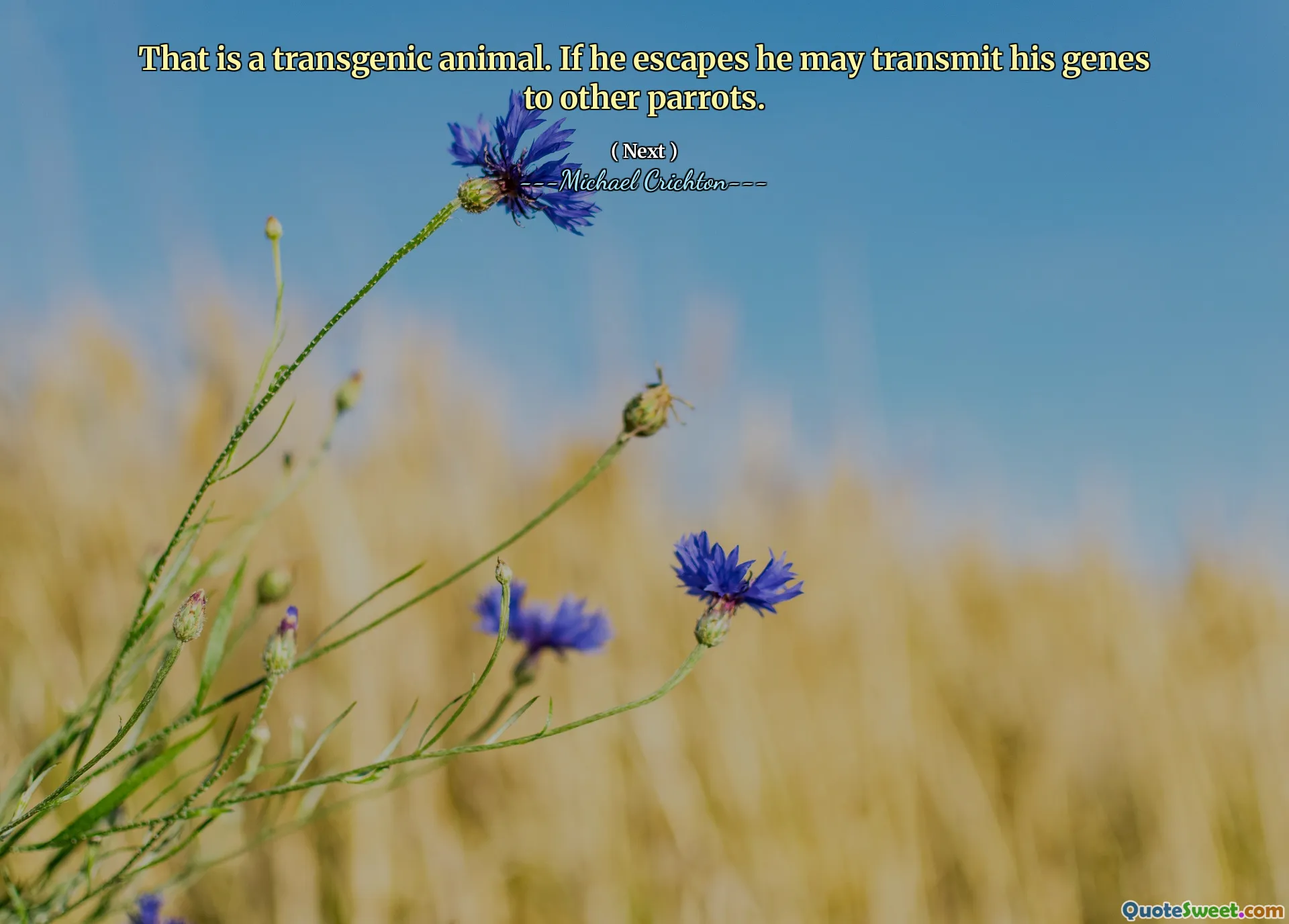 That is a transgenic animal. If he escapes he may transmit his genes to other parrots.