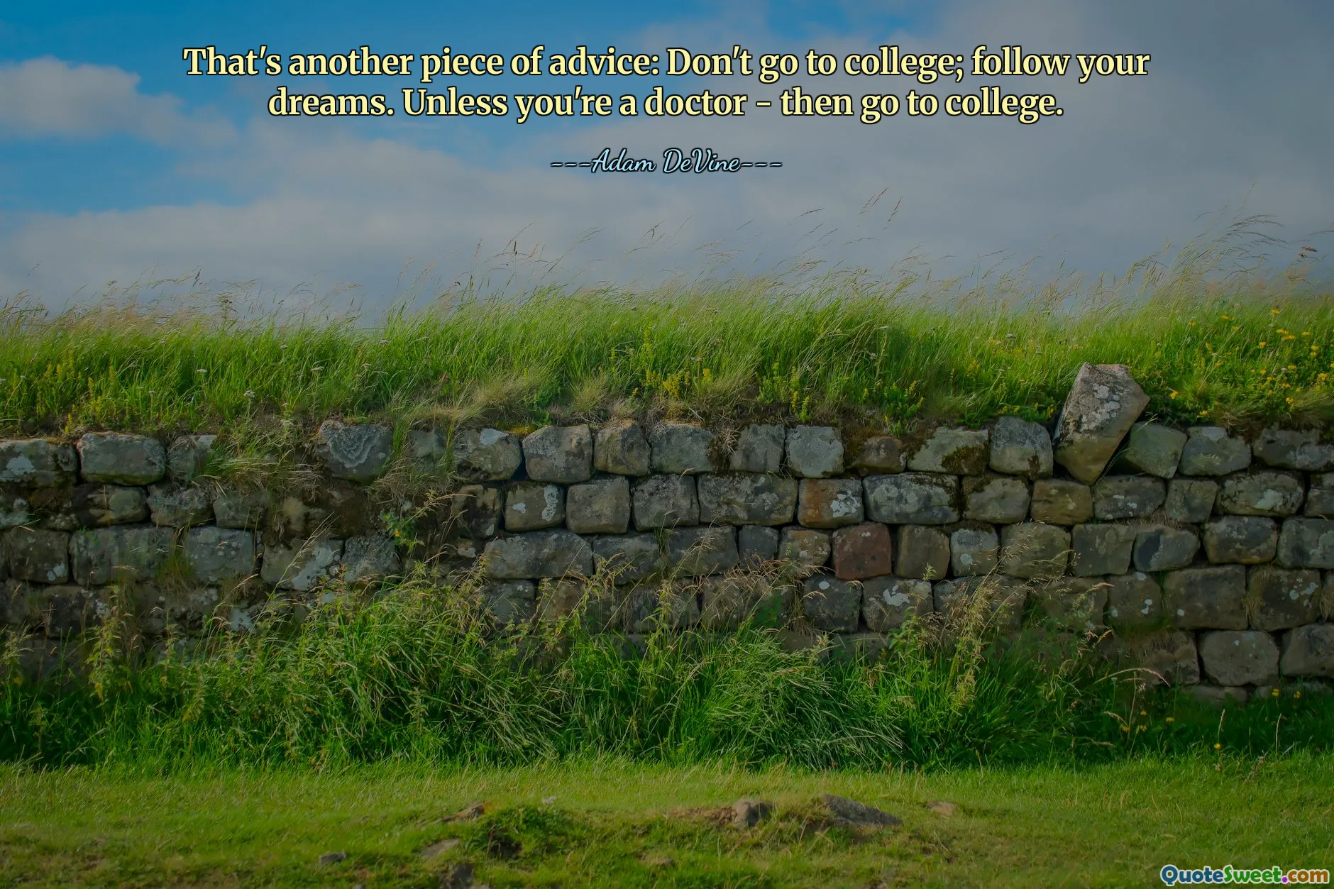 Acesta este un alt sfat: nu merge la facultate; urmează-ţi visul. Dacă nu ești medic - atunci mergi la facultate.