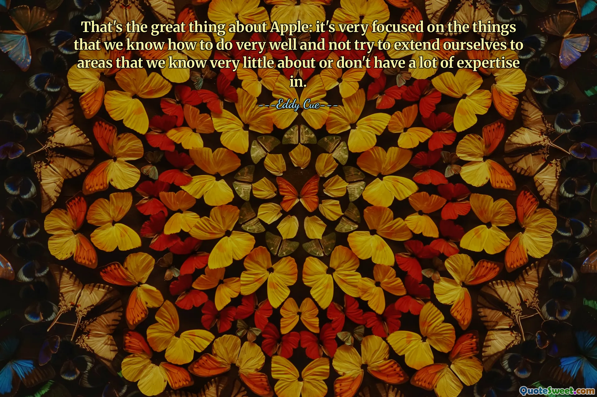 That's the great thing about Apple: it's very focused on the things that we know how to do very well and not try to extend ourselves to areas that we know very little about or don't have a lot of expertise in.