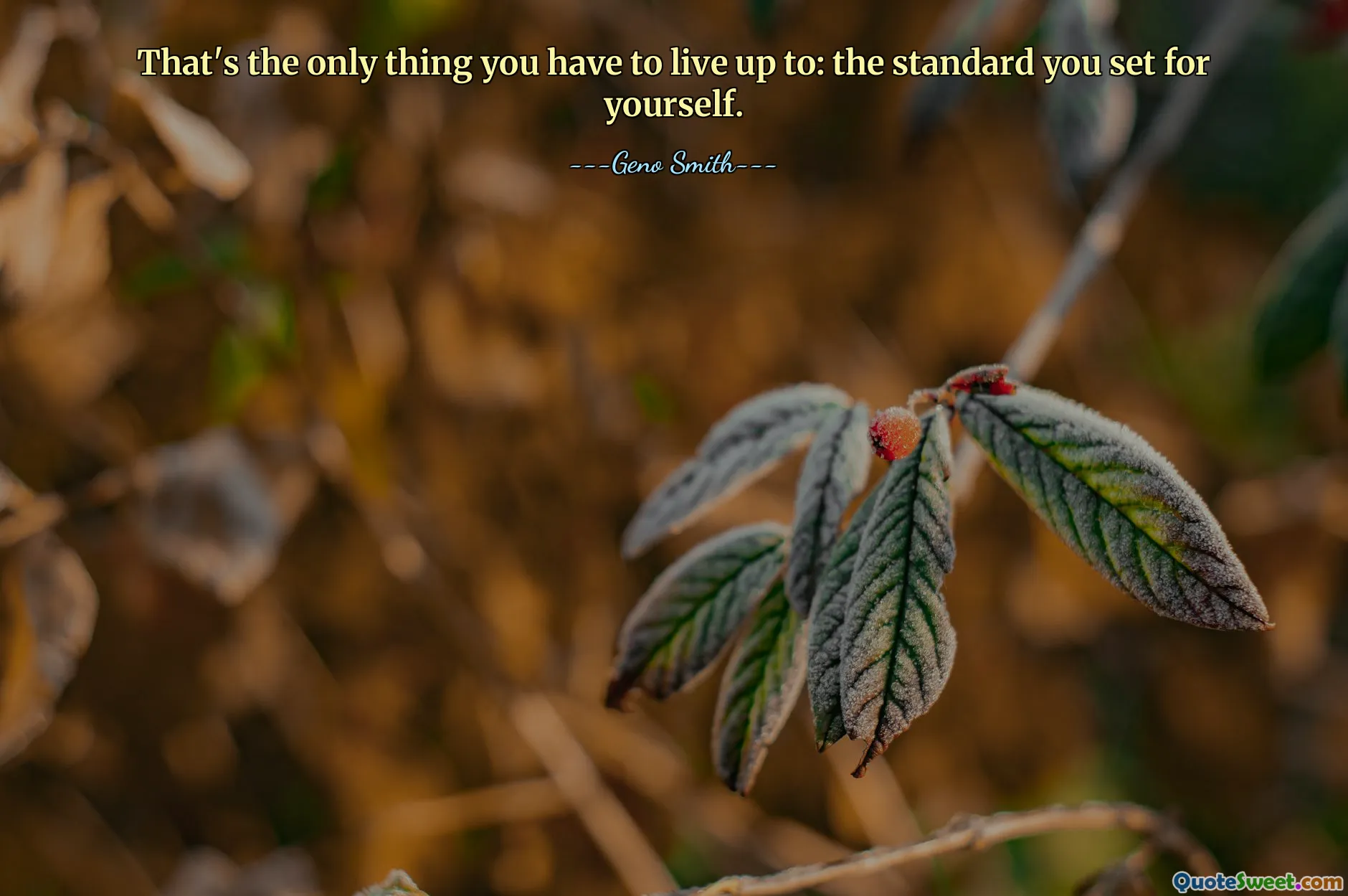 That's the only thing you have to live up to: the standard you set for yourself.