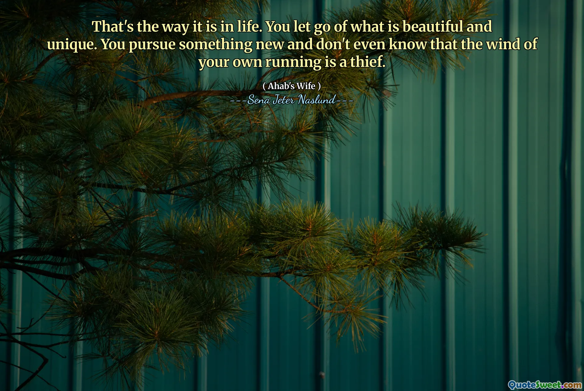 Так оно и есть в жизни. Вы отпустили то, что красиво и уникально. Вы преследуете что -то новое и даже не знаете, что ветер вашего собственного бега - это вор.
