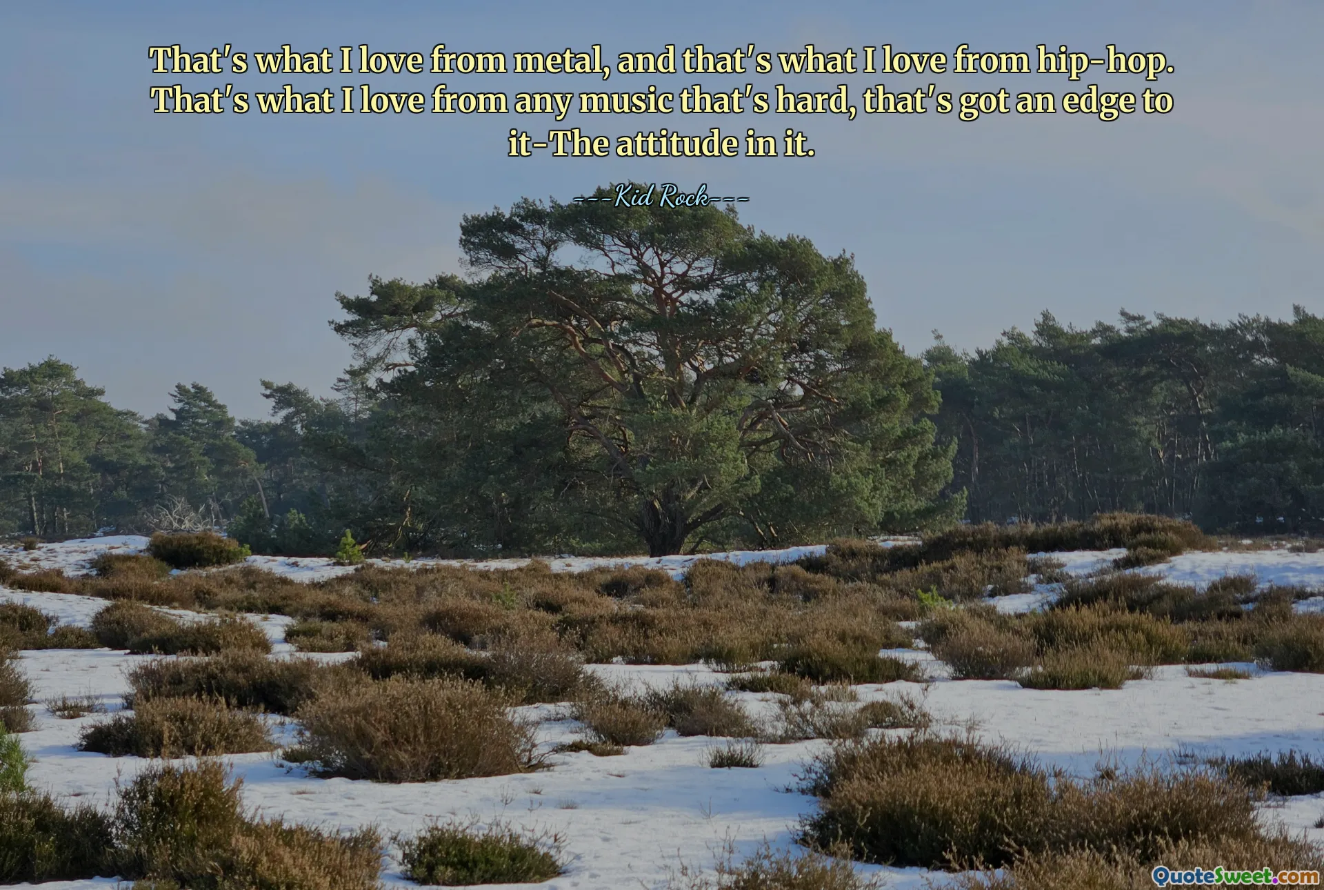 That's what I love from metal, and that's what I love from hip-hop. That's what I love from any music that's hard, that's got an edge to it-The attitude in it.