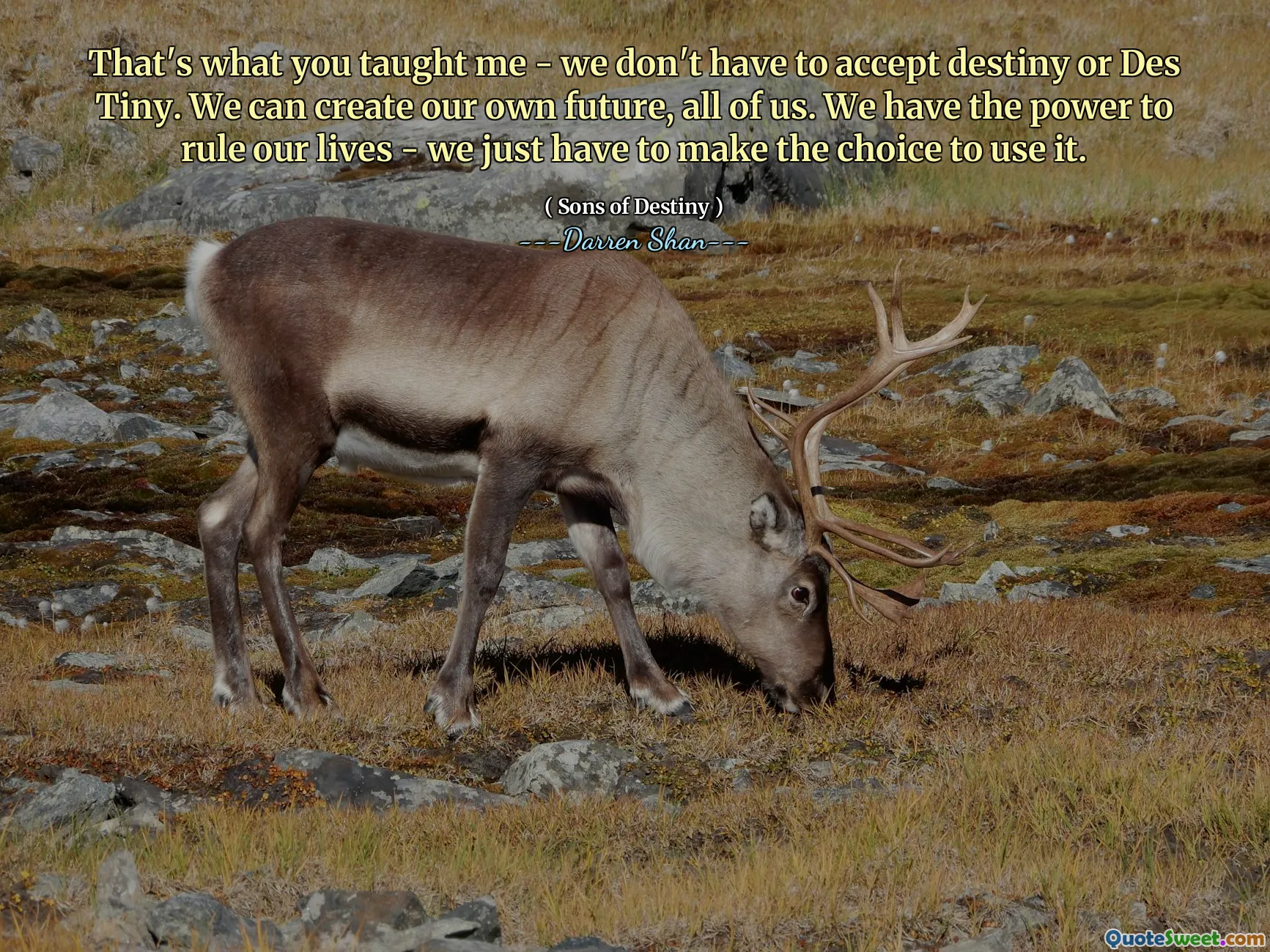 That's what you taught me - we don't have to accept destiny or Des Tiny. We can create our own future, all of us. We have the power to rule our lives - we just have to make the choice to use it.