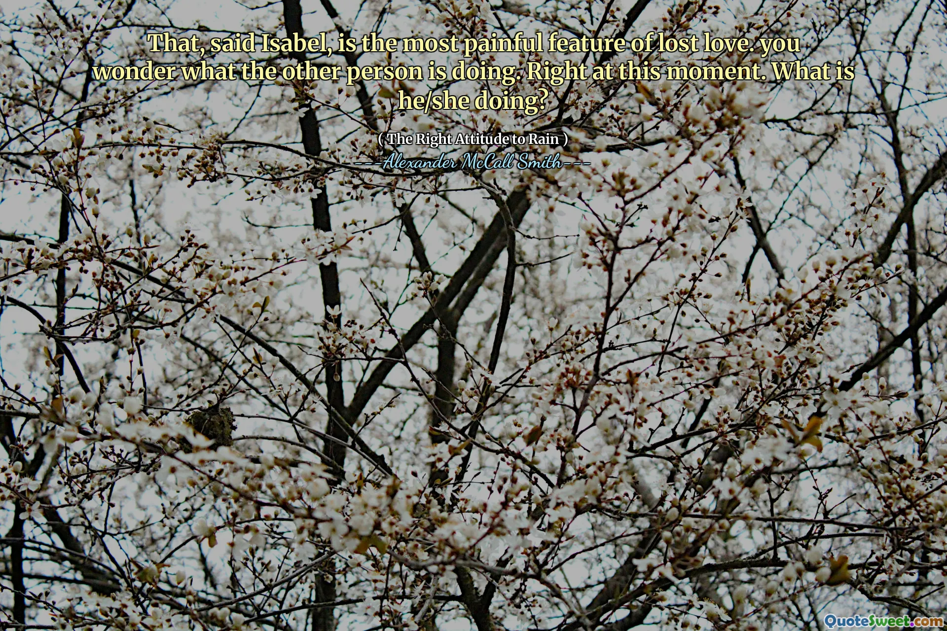To, powiedziała Isabel, jest najbardziej bolesną cechą utraconej miłości. Zastanawiasz się, co robi druga osoba. W tej chwili. Co on/ona robi?