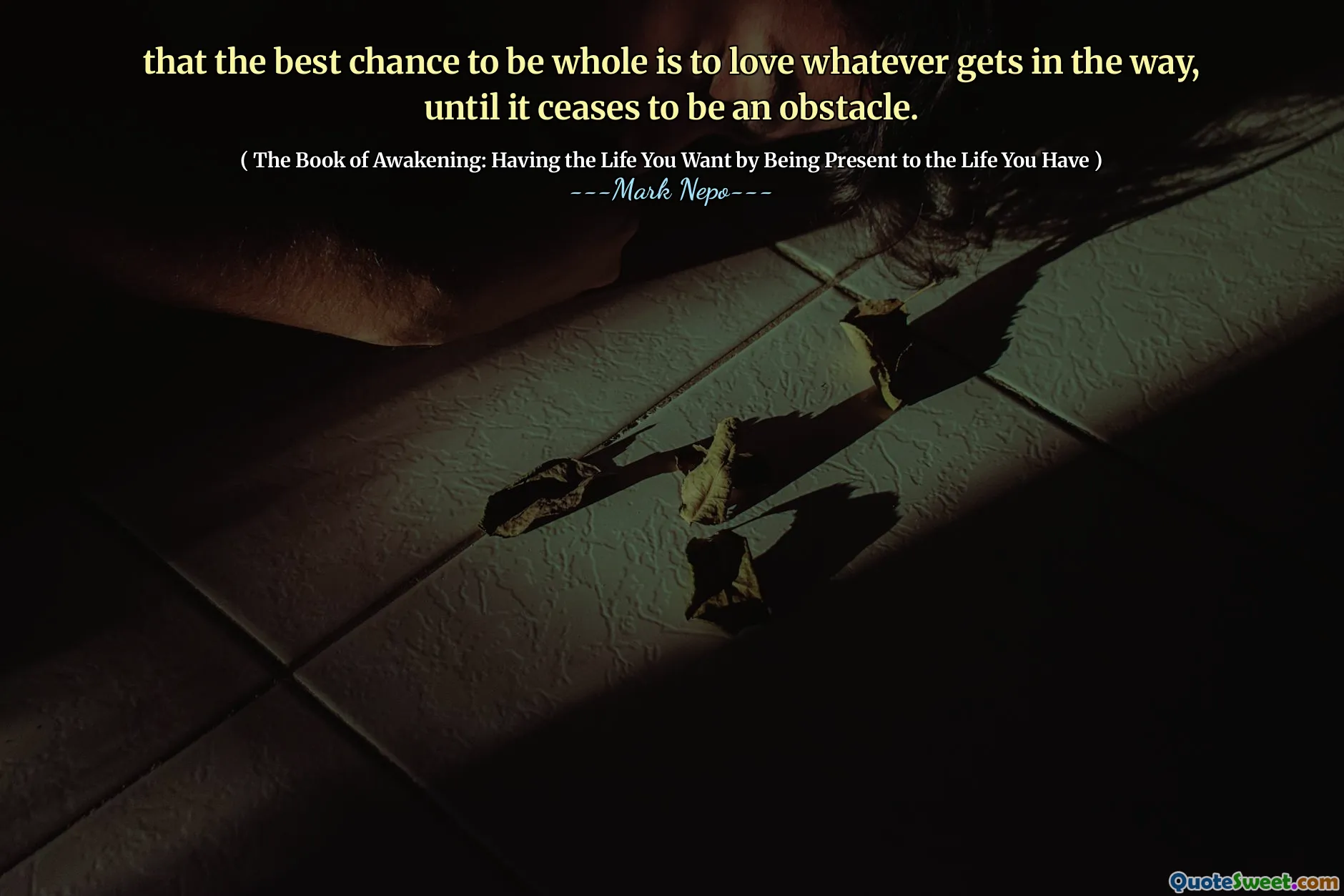 Que a melhor chance de ser inteira é amar o que quer que atrapalhe, até deixar de ser um obstáculo.