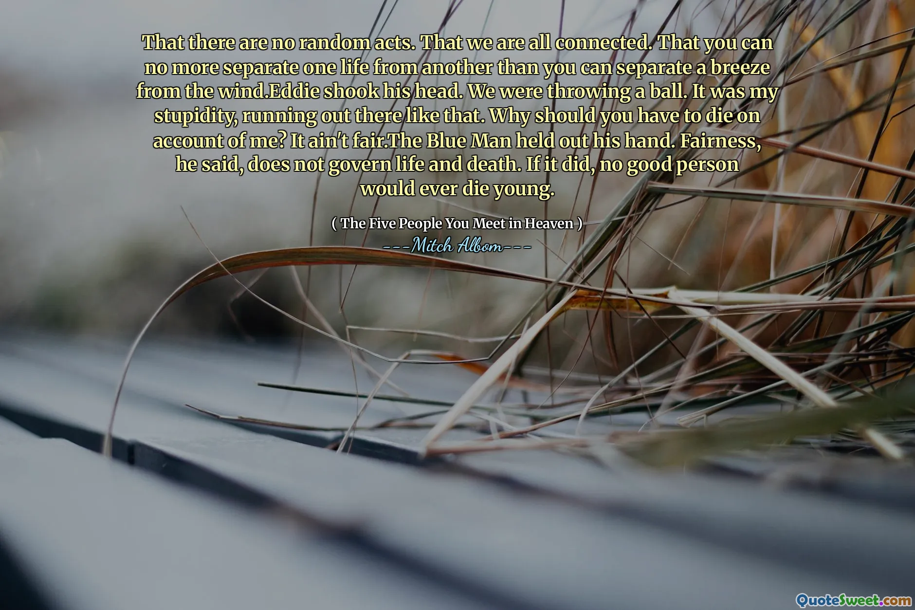 Dat er geen willekeurige handelingen zijn. Dat we allemaal verbonden zijn. Dat je het ene leven niet meer van het andere kunt scheiden dan je een briesje van de wind kunt scheiden. EDDIE schudde zijn hoofd. We gooiden een bal. Het was mijn domheid, zo rennen zo. Waarom zou je moeten sterven vanwege mij? Het is niet eerlijk. De blauwe man stak zijn hand uit. Eerlijkheid, zei hij, regeert niet leven en dood. Als dat zo was, zou geen goed persoon ooit jong sterven.