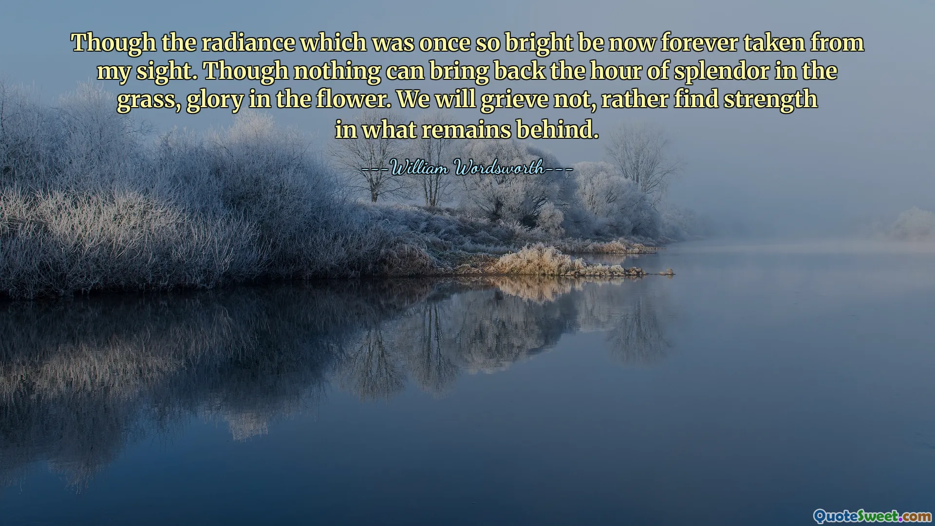 Dù ánh hào quang từng rất rực rỡ giờ đã vĩnh viễn biến mất khỏi tầm mắt tôi. Dù không gì có thể lấy lại được thời huy hoàng của cỏ, vinh quang của hoa. Chúng ta sẽ không đau buồn mà tìm sức mạnh ở những gì còn sót lại phía sau.