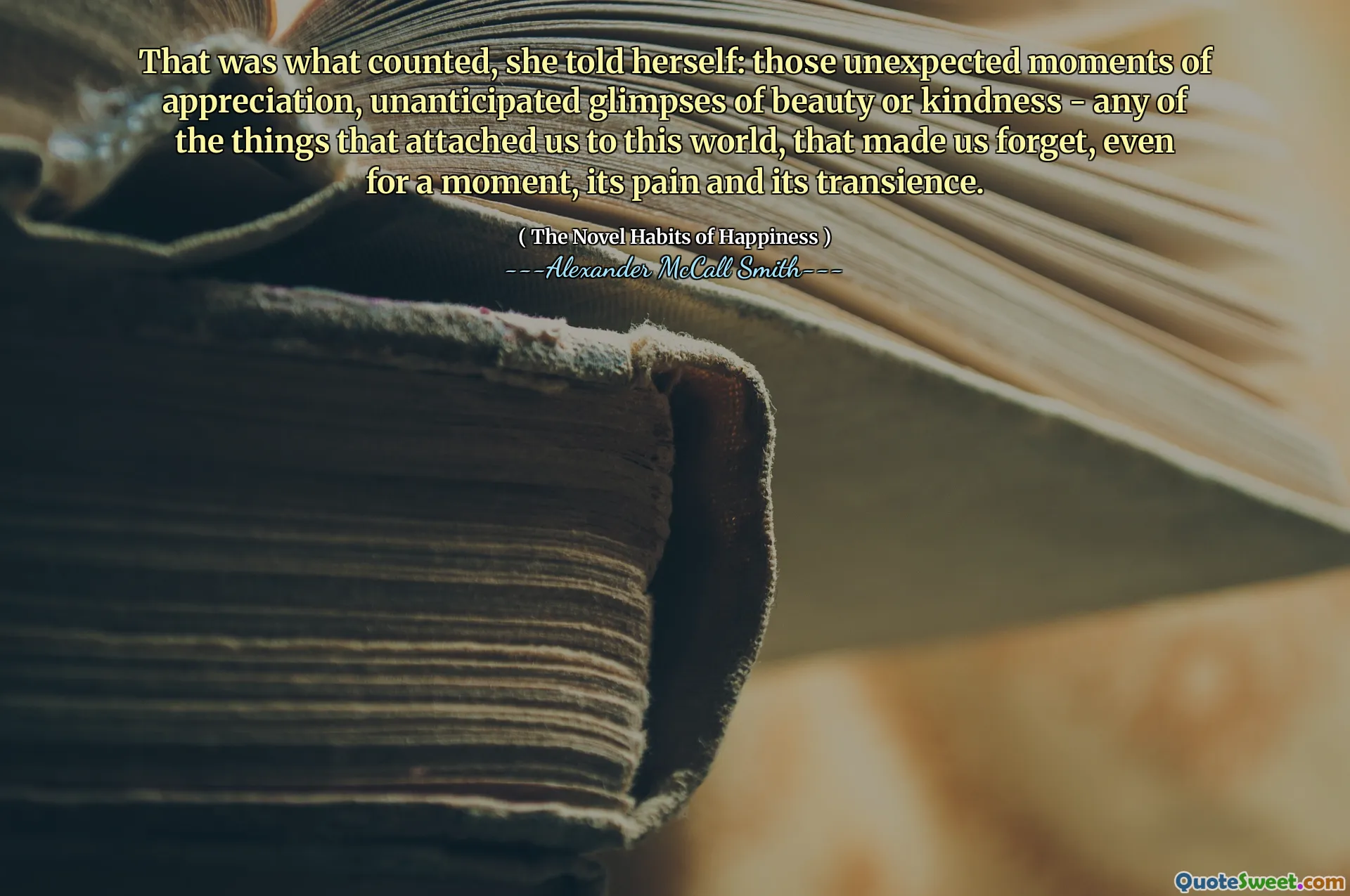 That was what counted, she told herself: those unexpected moments of appreciation, unanticipated glimpses of beauty or kindness - any of the things that attached us to this world, that made us forget, even for a moment, its pain and its transience.