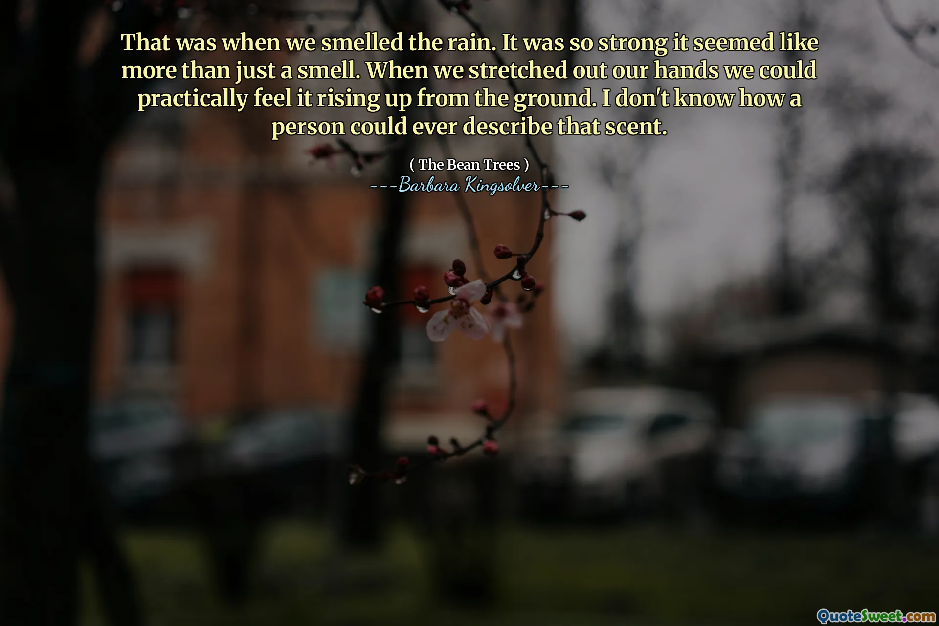 그때 우리가 비 냄새를 맡았습니다. 너무 강해서 냄새 이상처럼 보였습니다. 우리가 손을 뻗을 때 우리는 그것이 실제로 땅에서 일어나는 것을 느낄 수있었습니다. 나는 사람이 그 향기를 어떻게 묘사 할 수 있는지 모른다.