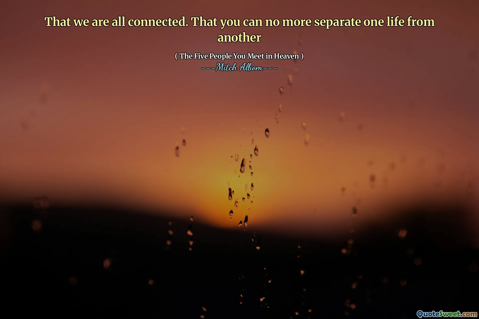 我们都连接了。你再也不能将一种生活与另一个生命分开