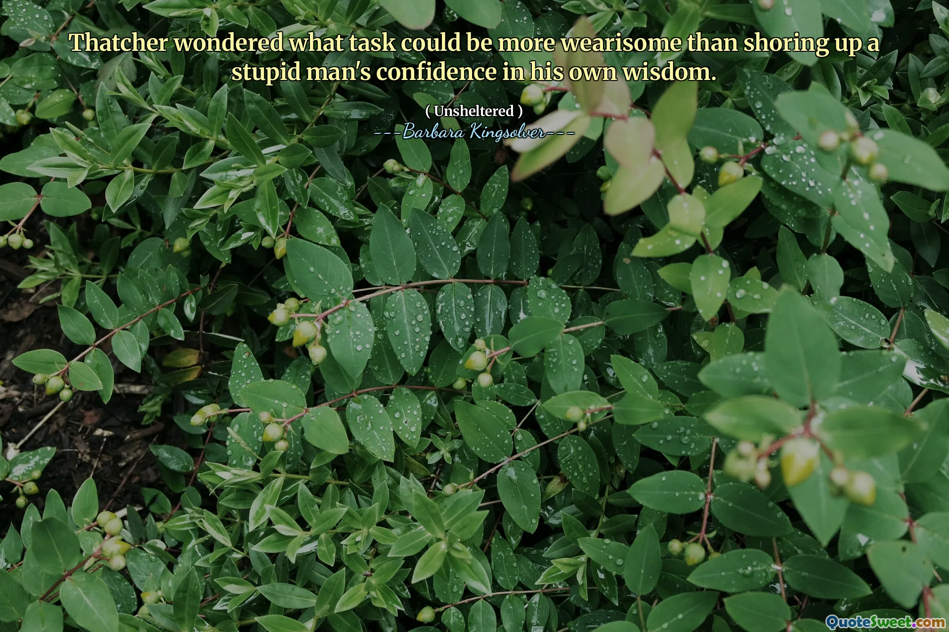 Thatcher přemýšlel, jaký úkol by mohl být únavnější, než aby se uskutečnil důvěru hloupého muže ve svou vlastní moudrost.