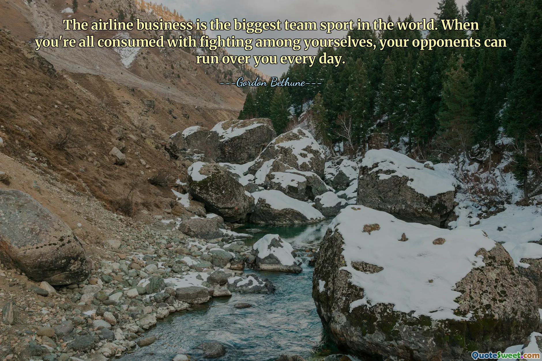The airline business is the biggest team sport in the world. When you're all consumed with fighting among yourselves, your opponents can run over you every day.