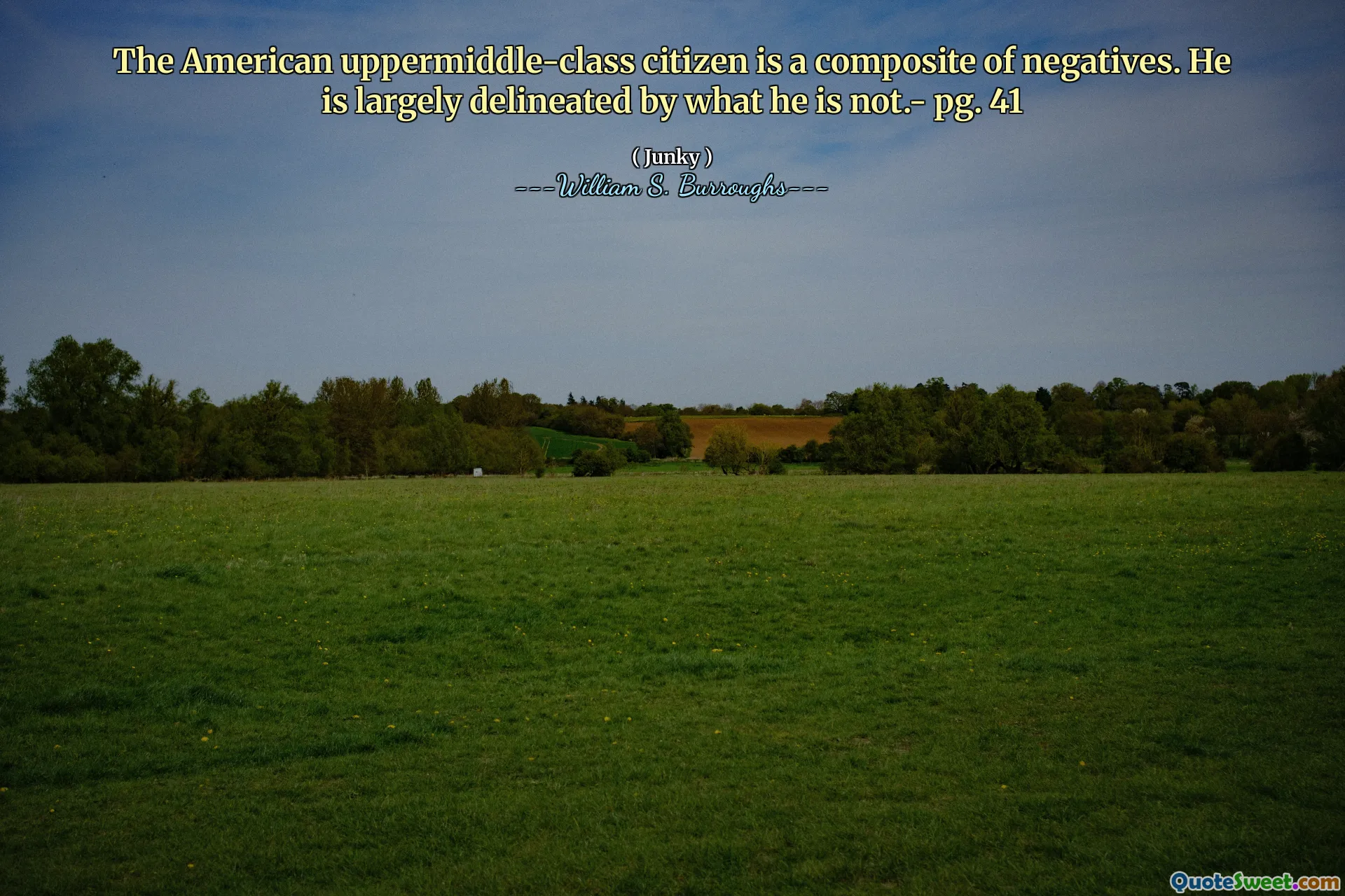 Den amerikanske statsborgeren i middelklassen er en sammensatt av negativer. Han er i stor grad avgrenset av det han ikke er. 41