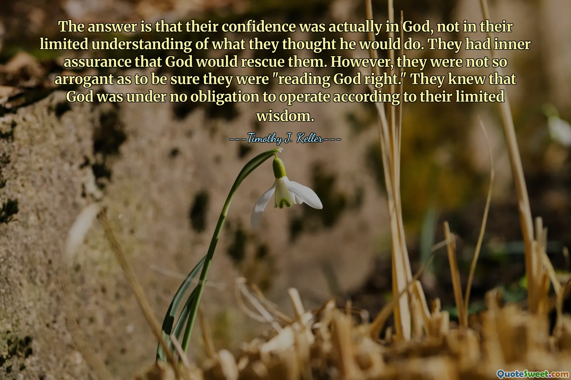The answer is that their confidence was actually in God, not in their limited understanding of what they thought he would do. They had inner assurance that God would rescue them. However, they were not so arrogant as to be sure they were "reading God right." They knew that God was under no obligation to operate according to their limited wisdom.