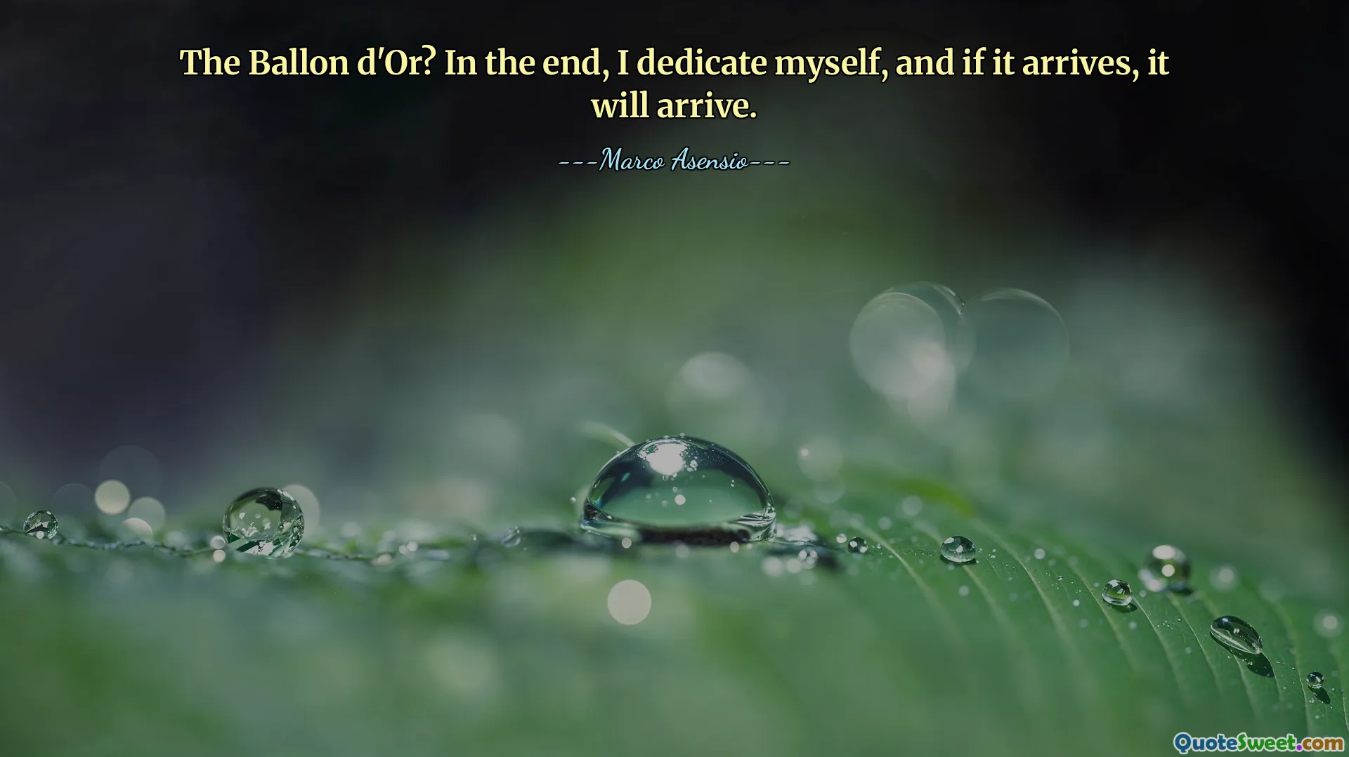 ოქროს ბურთი? ბოლოს თავს ვუძღვნი და თუ ჩამოვა, ჩამოვა.