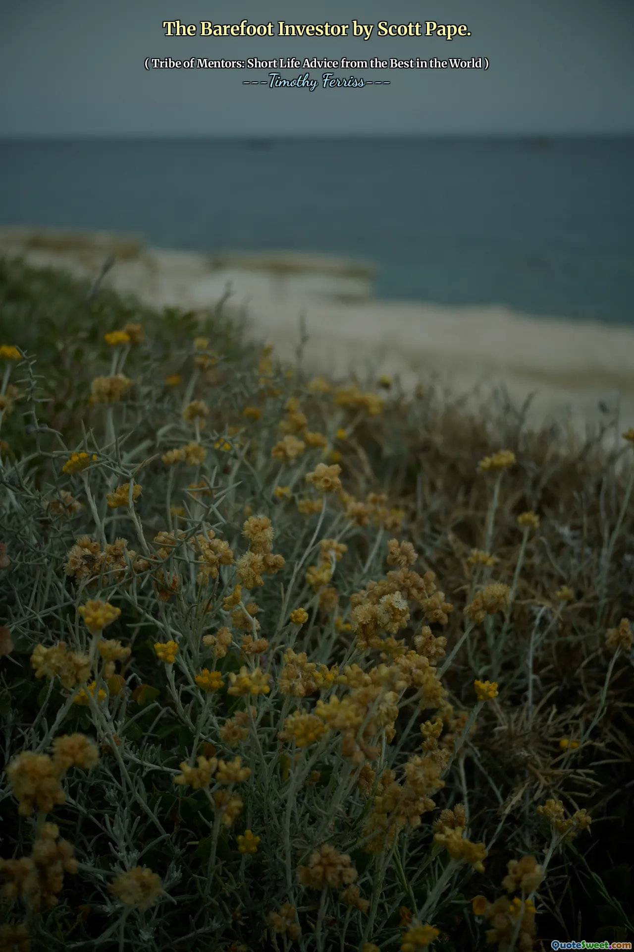 The Barefoot Investor by Scott Pape.