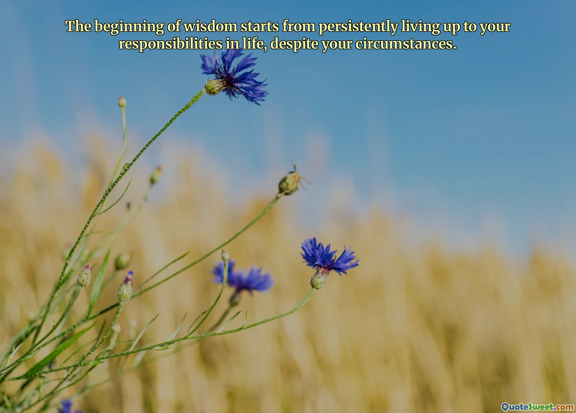 The beginning of wisdom starts from persistently living up to your responsibilities in life, despite your circumstances.