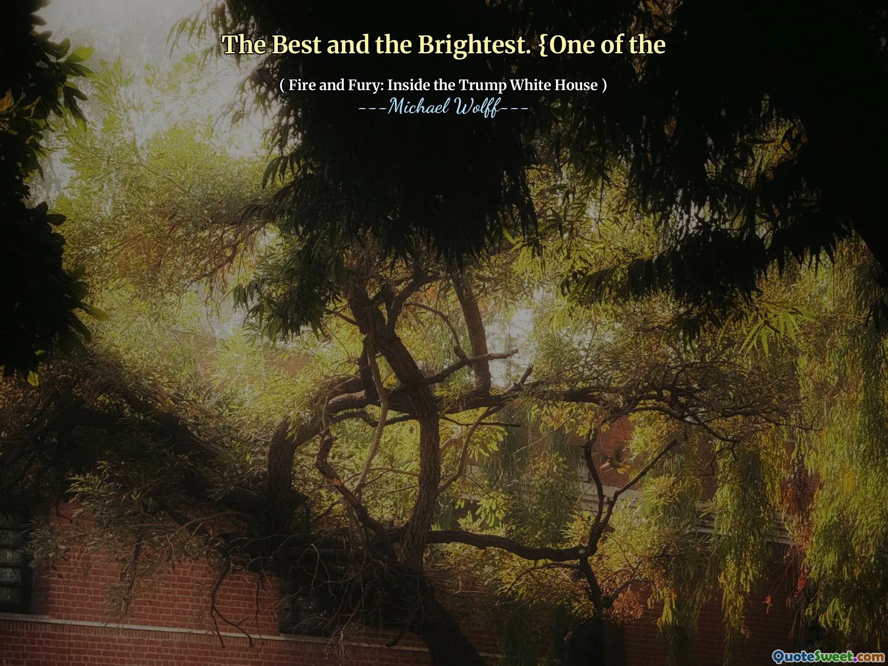 The Best and the Brightest. {One of the