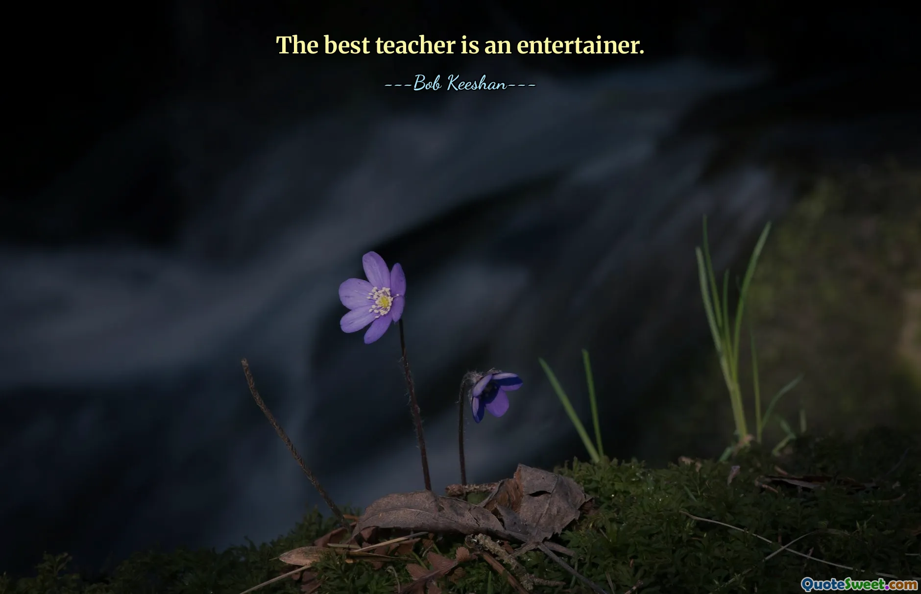 The best teacher is an entertainer.