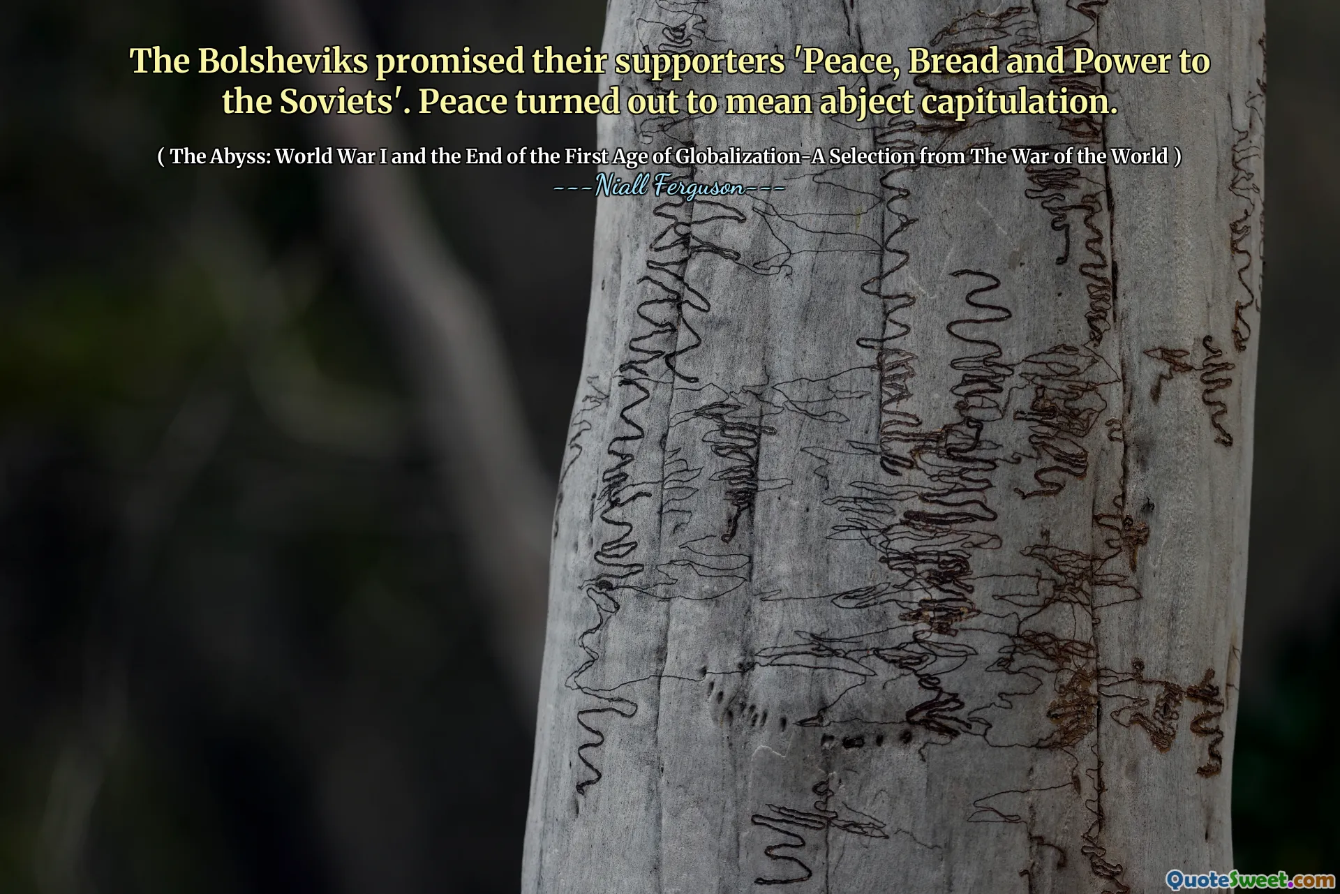 The Bolsheviks promised their supporters 'Peace, Bread and Power to the Soviets'. Peace turned out to mean abject capitulation.