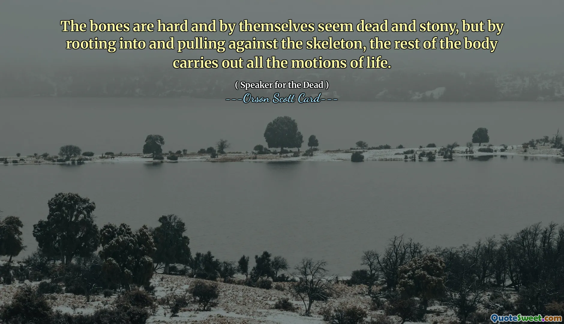 The bones are hard and by themselves seem dead and stony, but by rooting into and pulling against the skeleton, the rest of the body carries out all the motions of life.