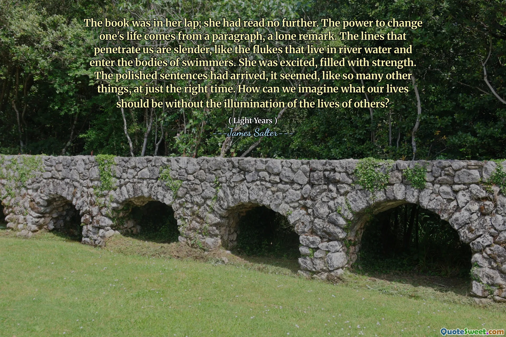 The book was in her lap; she had read no further. The power to change one's life comes from a paragraph, a lone remark. The lines that penetrate us are slender, like the flukes that live in river water and enter the bodies of swimmers. She was excited, filled with strength. The polished sentences had arrived, it seemed, like so many other things, at just the right time. How can we imagine what our lives should be without the illumination of the lives of others?