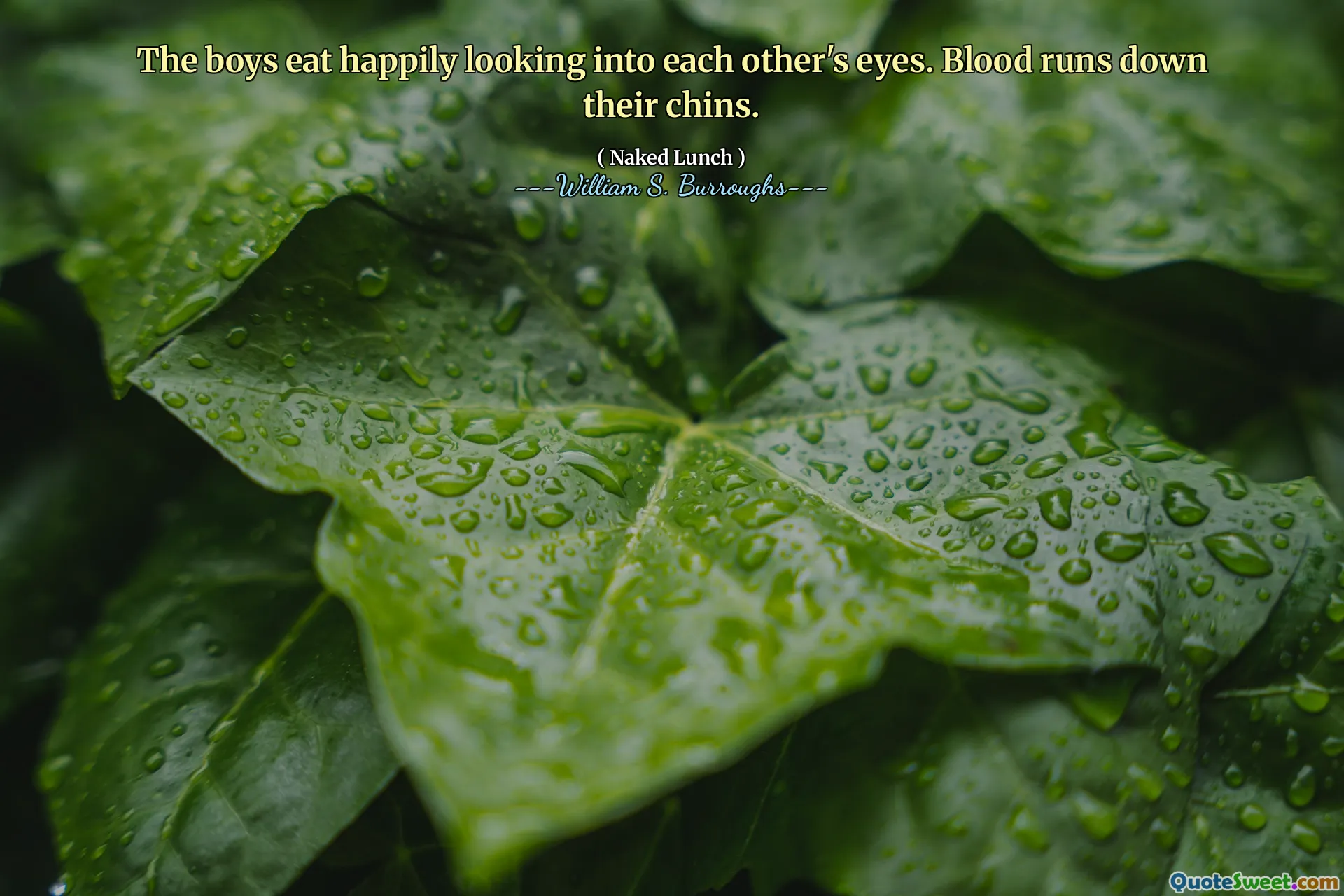 Os meninos comem alegremente olhando nos olhos um do outro. O sangue escorre pelo queixo.