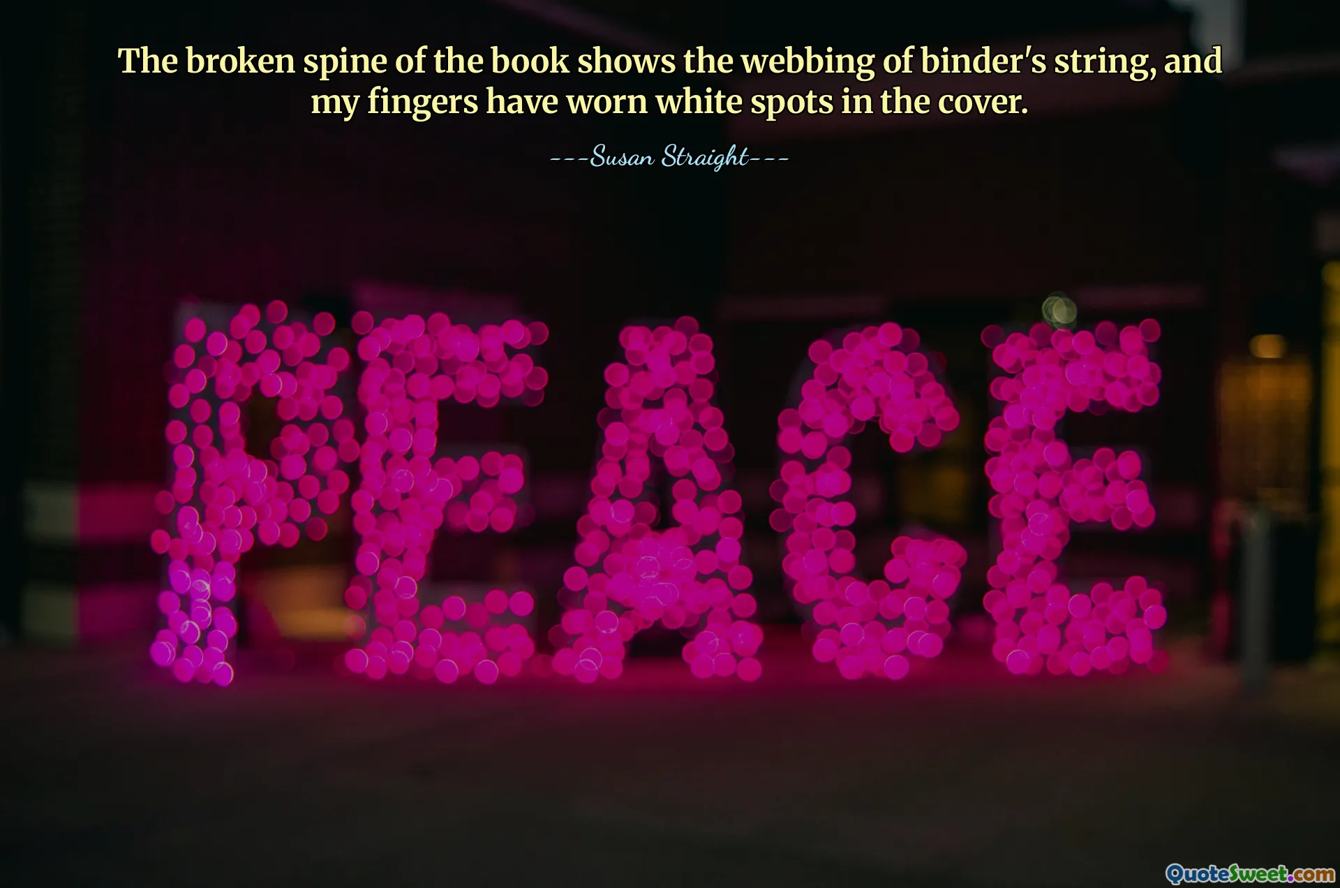 The broken spine of the book shows the webbing of binder's string, and my fingers have worn white spots in the cover.