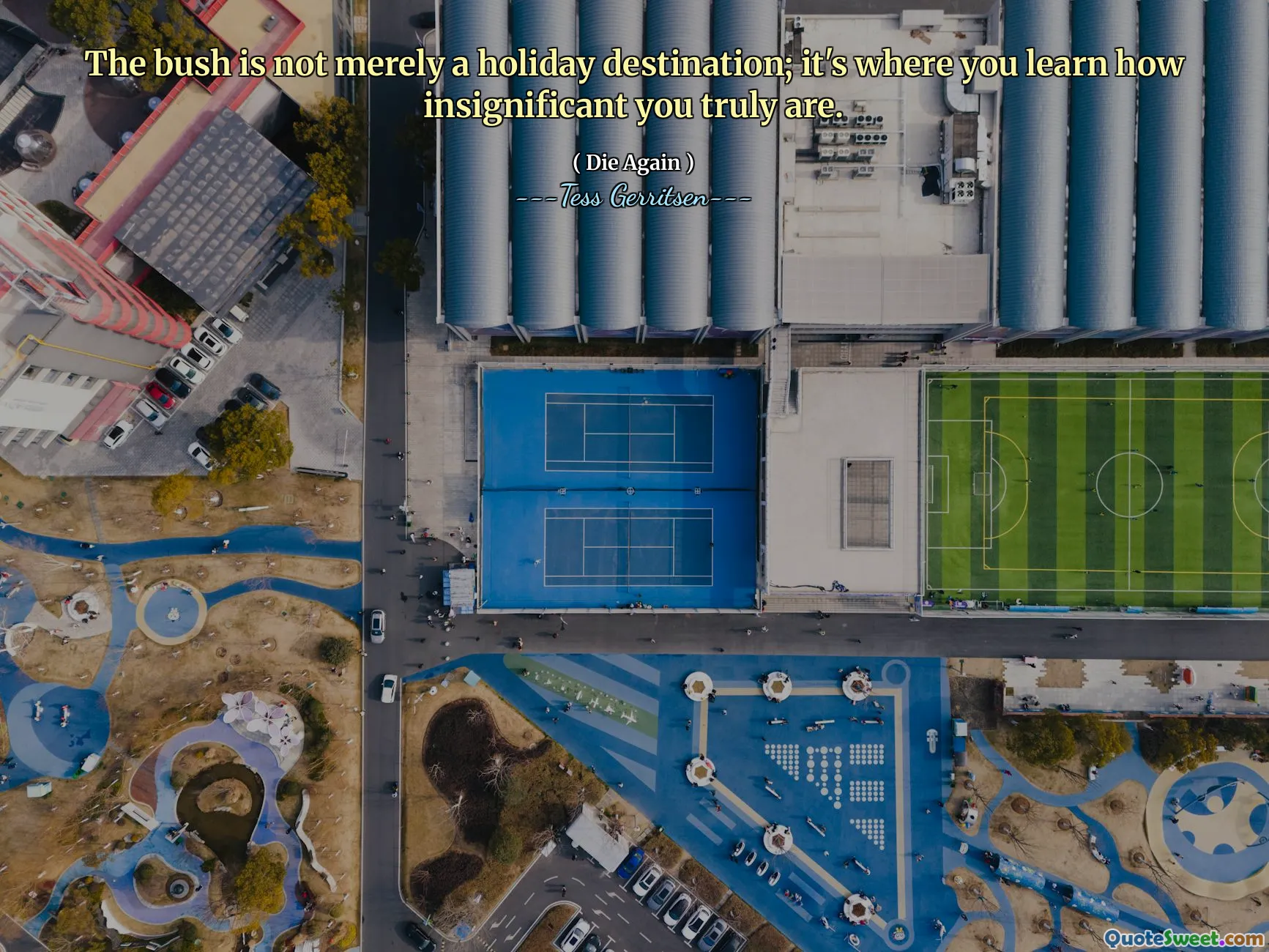 The bush is not merely a holiday destination; it's where you learn how insignificant you truly are.