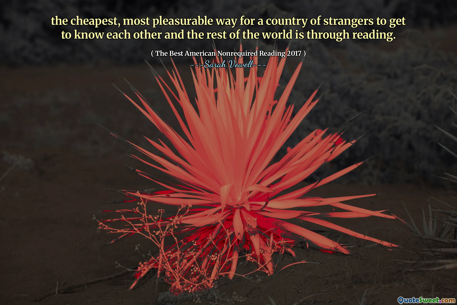 the cheapest, most pleasurable way for a country of strangers to get to know each other and the rest of the world is through reading.