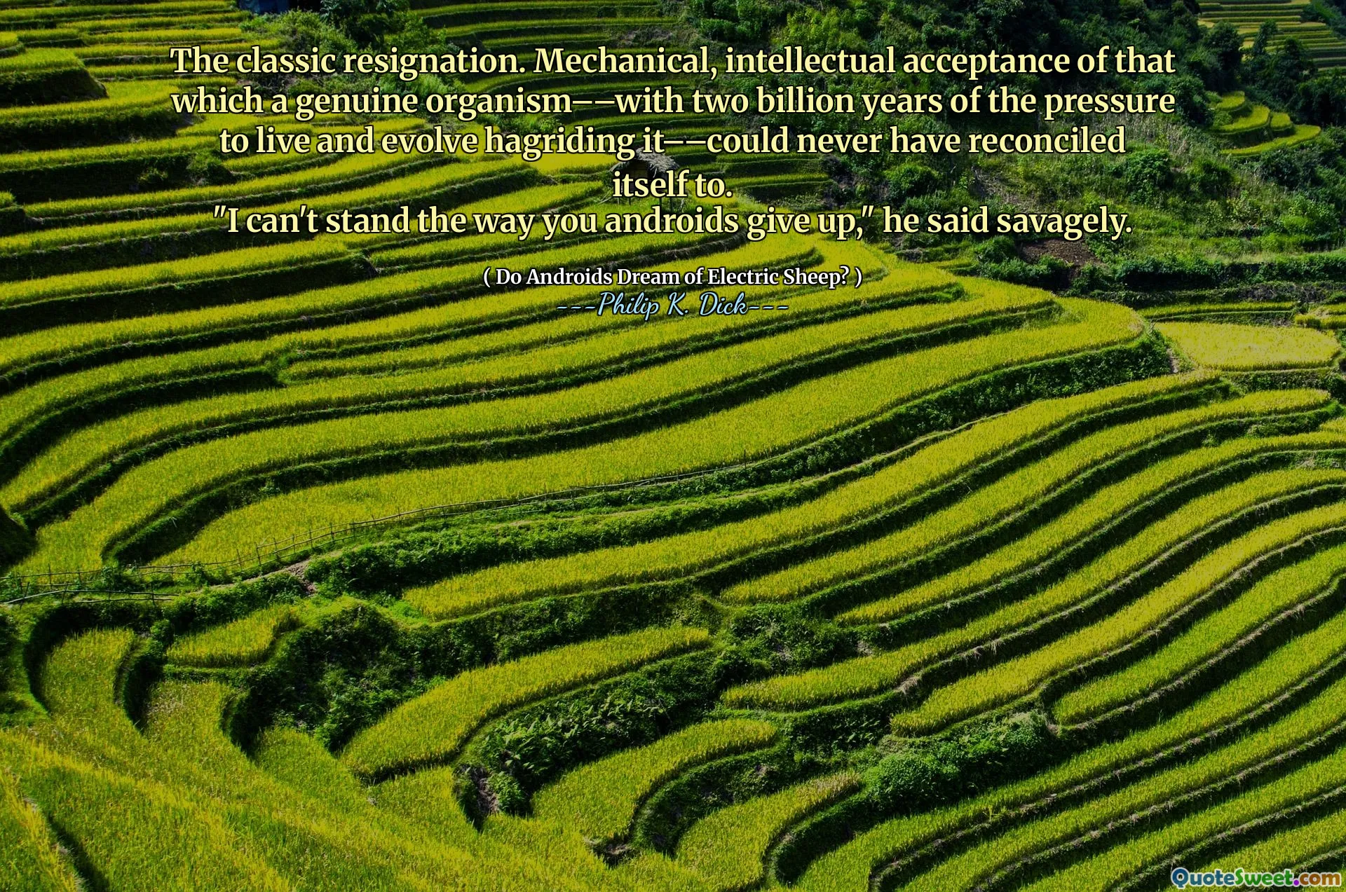 Het klassieke ontslag. Mechanische, intellectuele acceptatie van dat wat een echt organisme - met twee miljard jaar van de druk om te leven en te evolueren - - zou zich nooit kunnen verzoenen.
"Ik kan niet uitstaan ​​zoals je Androids opgeven," zei hij woest.