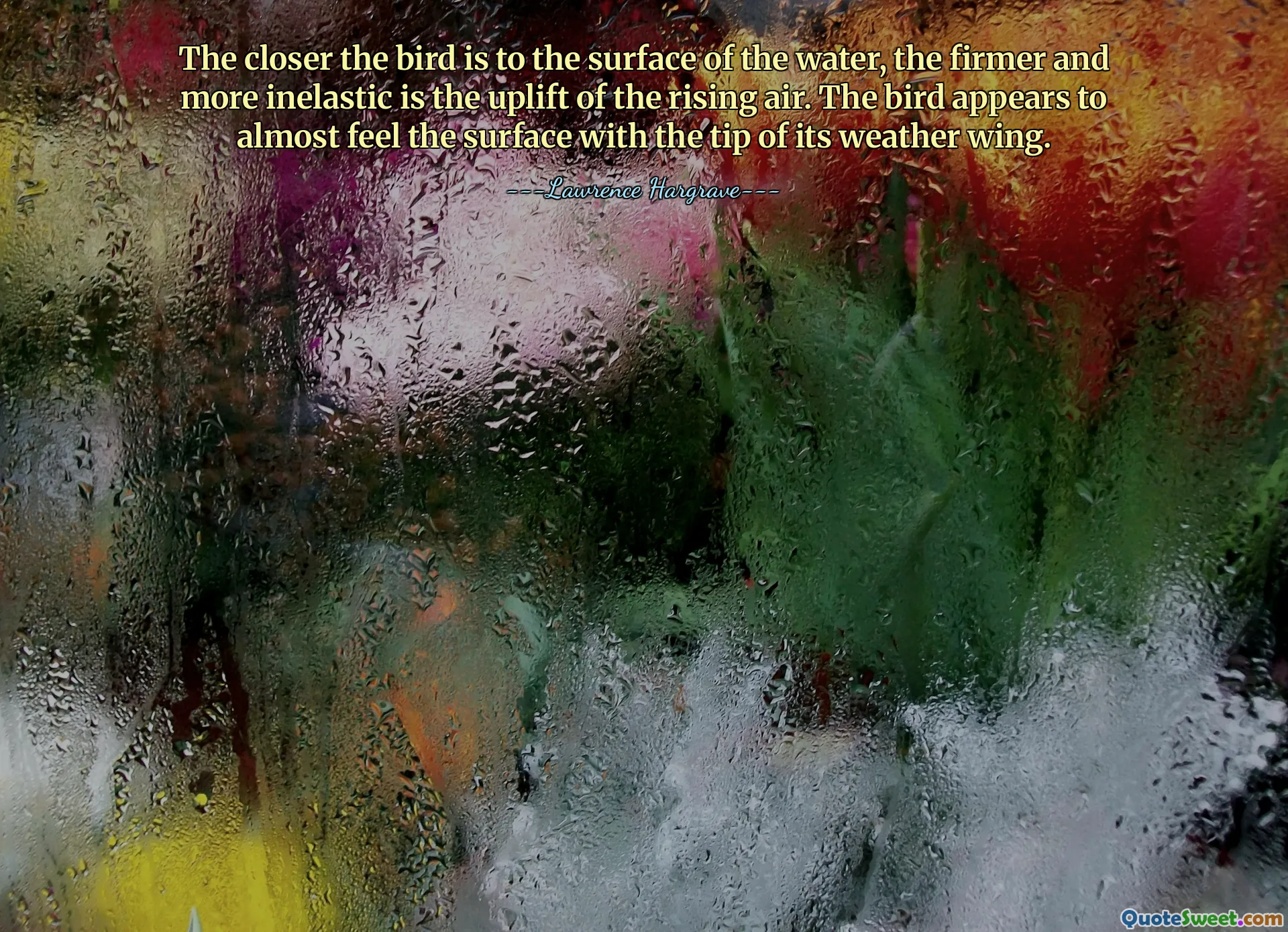 The closer the bird is to the surface of the water, the firmer and more inelastic is the uplift of the rising air. The bird appears to almost feel the surface with the tip of its weather wing.