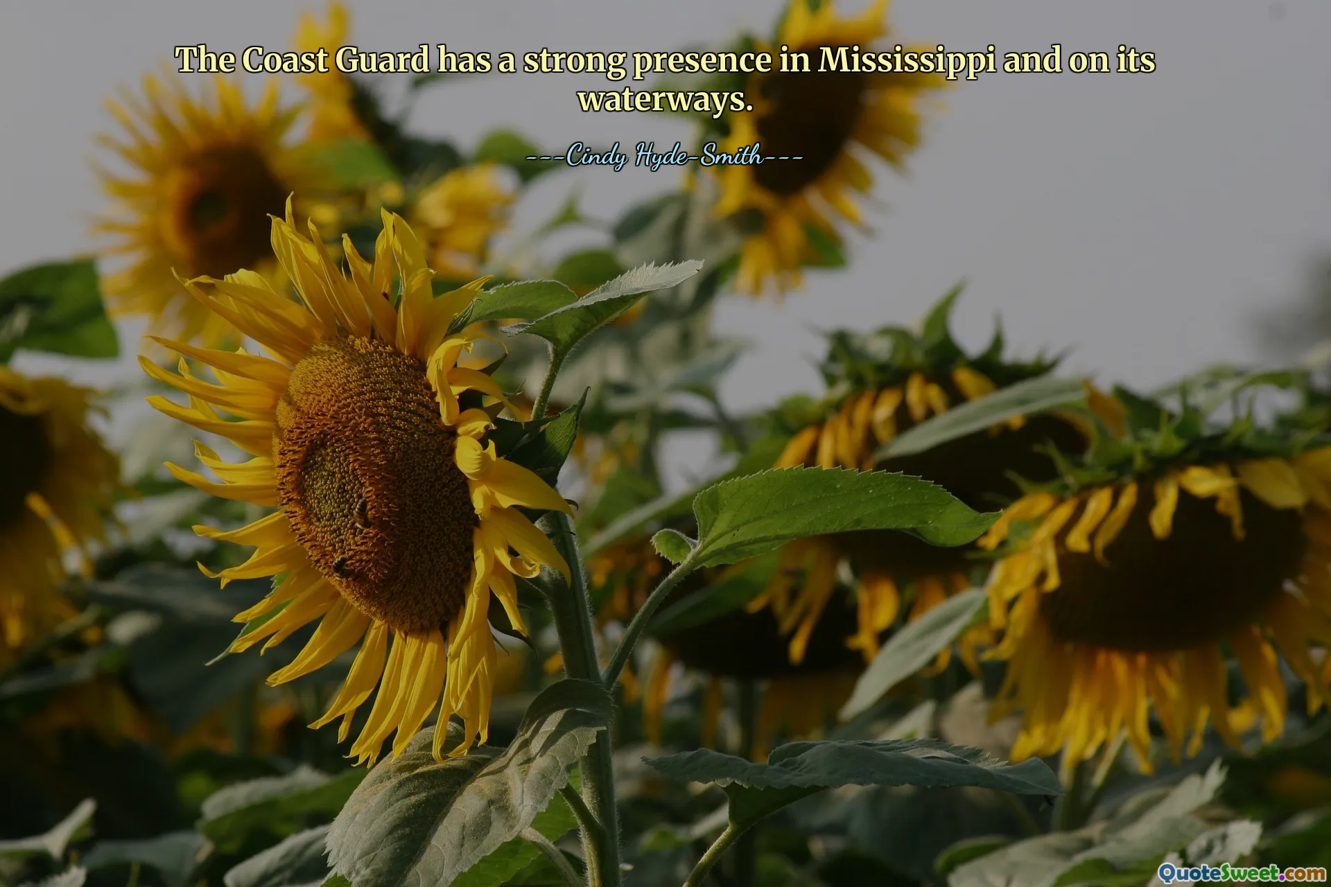 The Coast Guard has a strong presence in Mississippi and on its waterways.