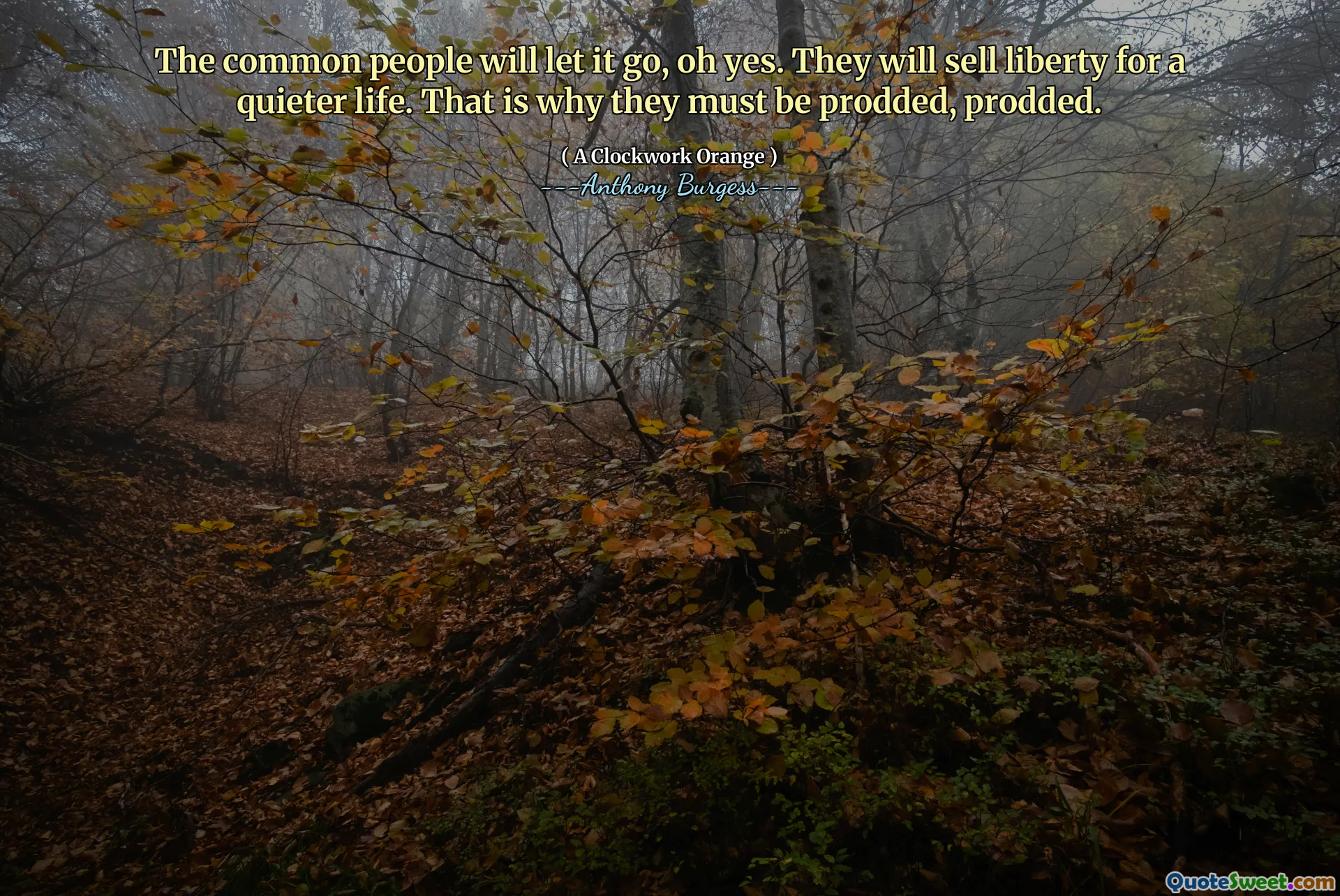 The common people will let it go, oh yes. They will sell liberty for a quieter life. That is why they must be prodded, prodded.