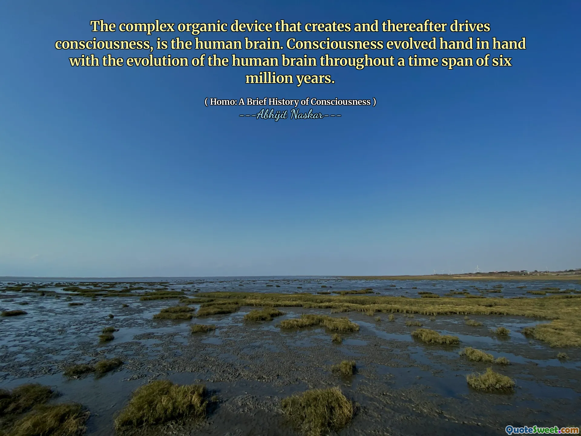 The complex organic device that creates and thereafter drives consciousness, is the human brain. Consciousness evolved hand in hand with the evolution of the human brain throughout a time span of six million years.