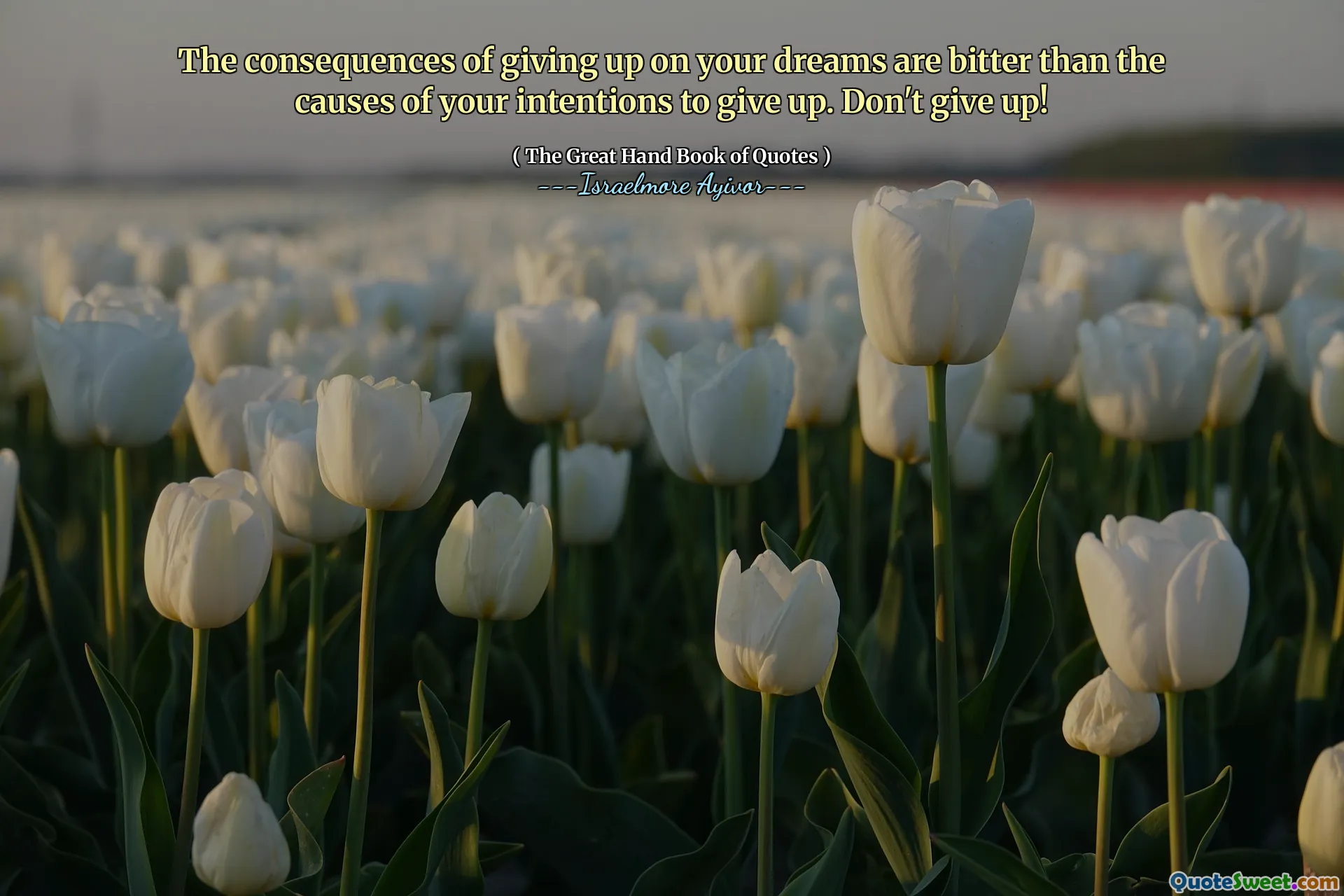 The consequences of giving up on your dreams are bitter than the causes of your intentions to give up. Don't give up!