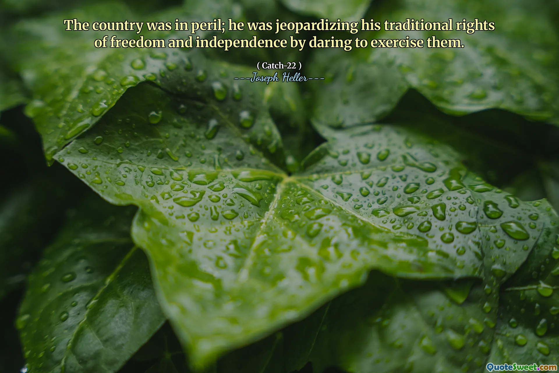 나라는 위험에 처해 있었다. 그는 전통적인 자유와 독립의 권리를 대담하게함으로써 자신의 전통적인 권리를 위태롭게하고있었습니다.