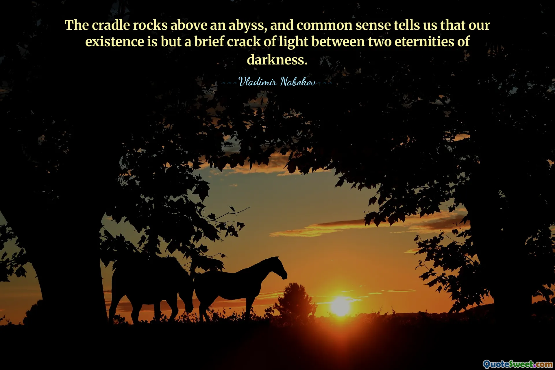 The cradle rocks above an abyss, and common sense tells us that our existence is but a brief crack of light between two eternities of darkness.