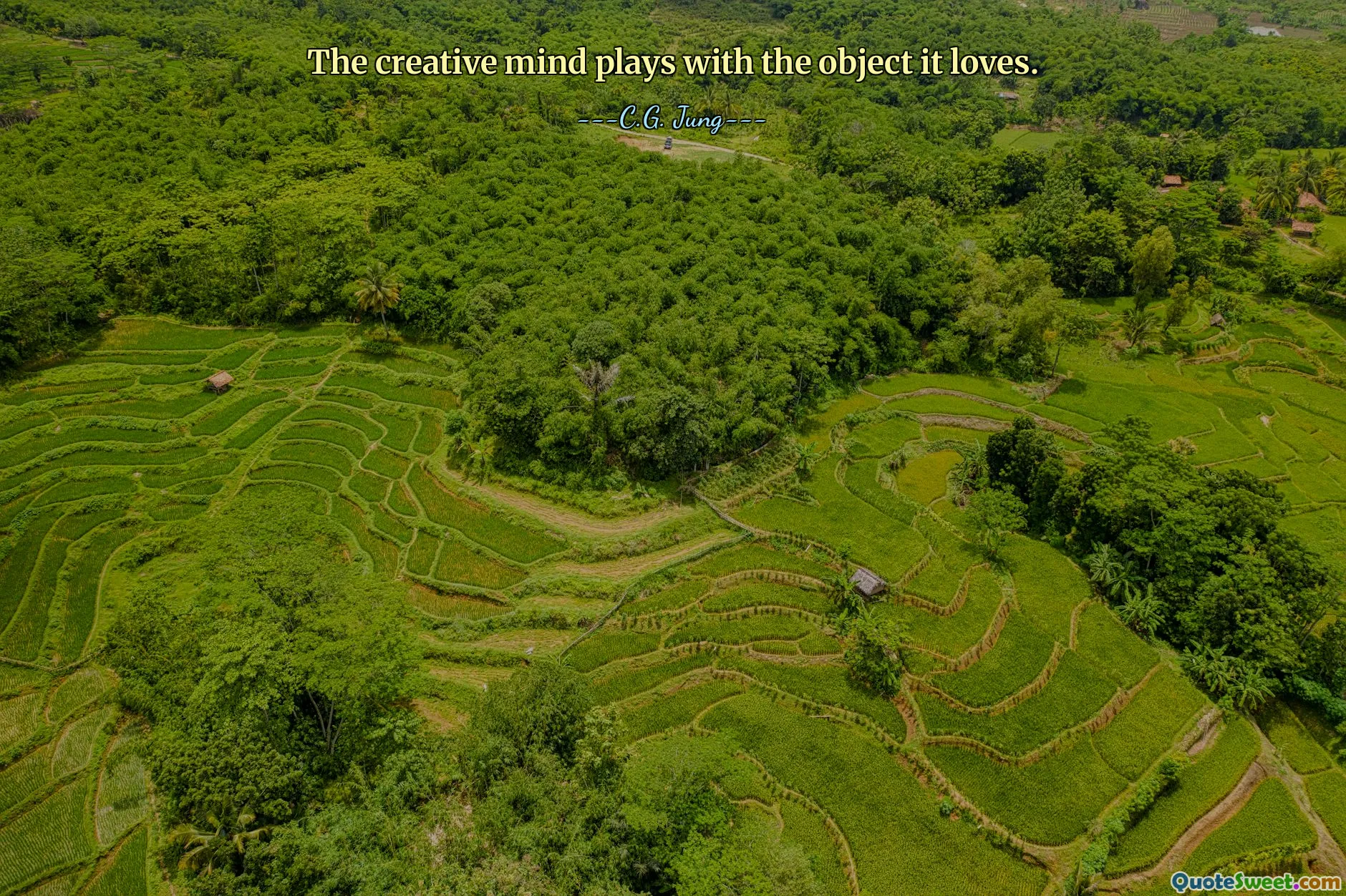 The creative mind plays with the object it loves.