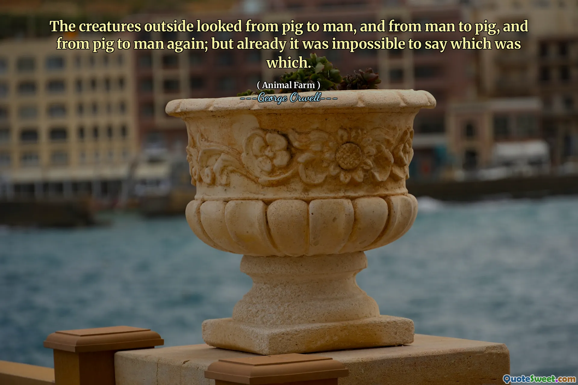 Makhluk -makhluk di luar tampak dari babi ke manusia, dan dari manusia ke babi, dan dari babi ke manusia lagi; Tapi sudah mustahil untuk mengatakan yang mana.