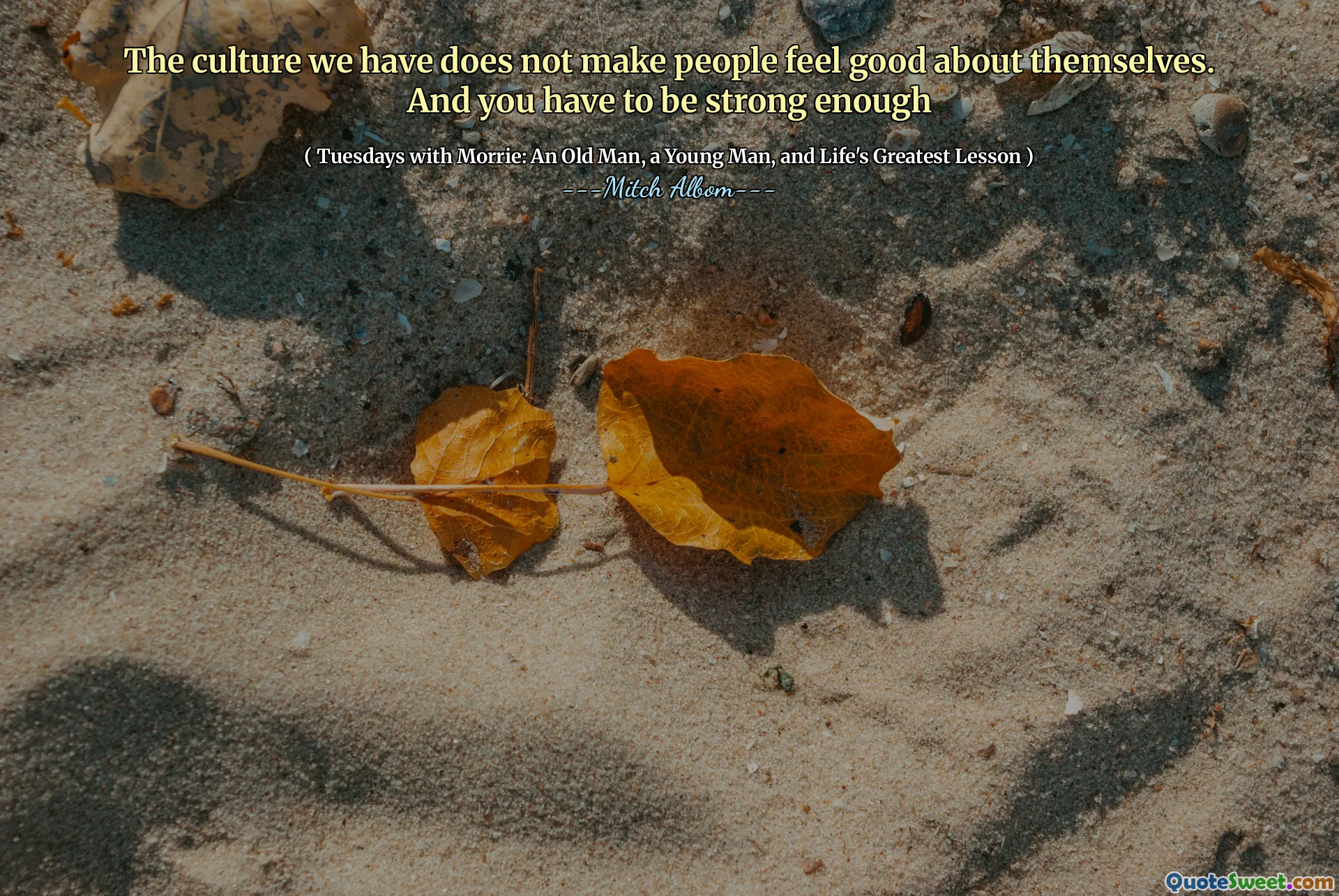 我们所拥有的文化并不能使人们对自己感觉良好。而且你必须足够强大