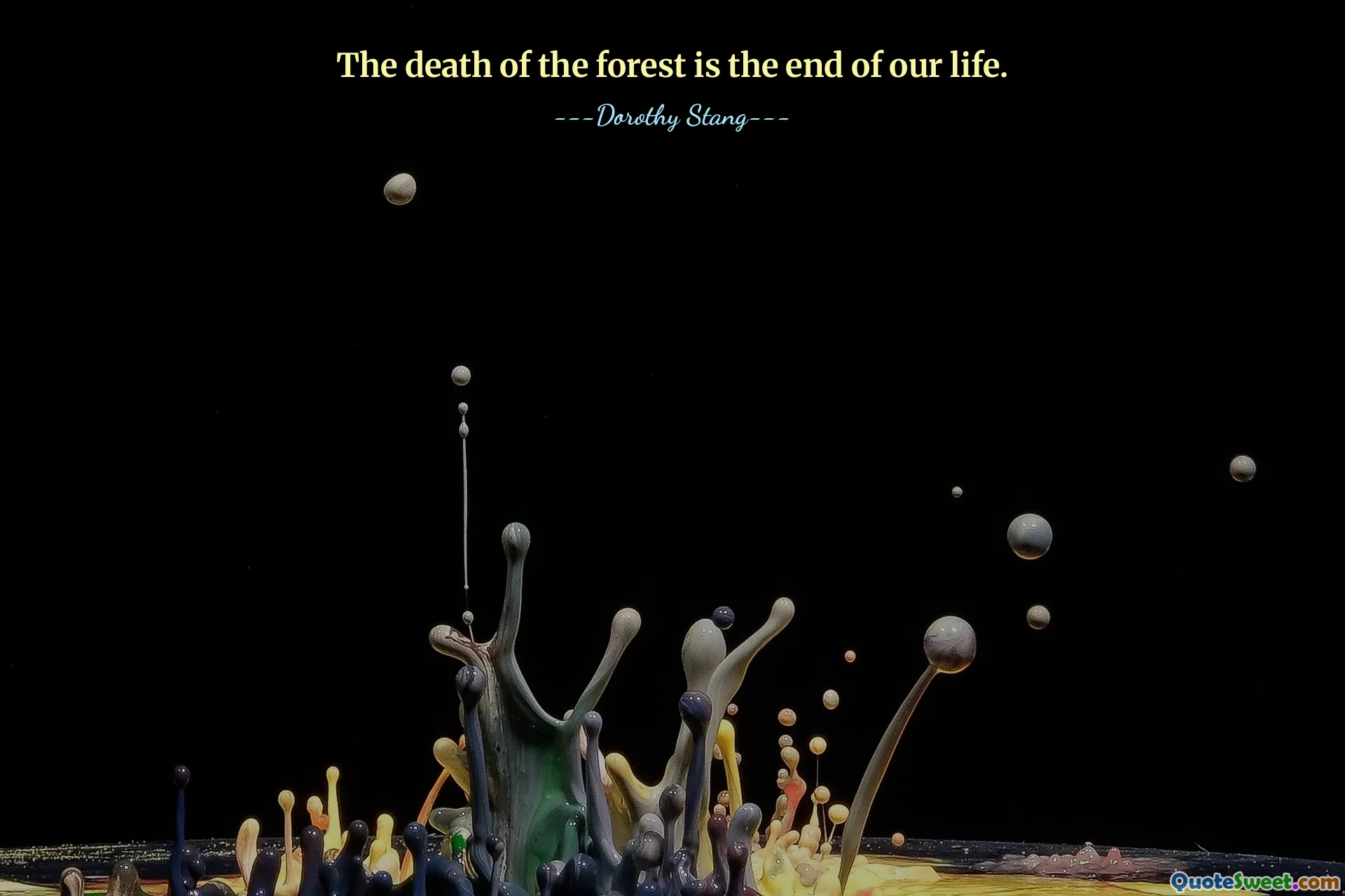 The death of the forest is the end of our life.