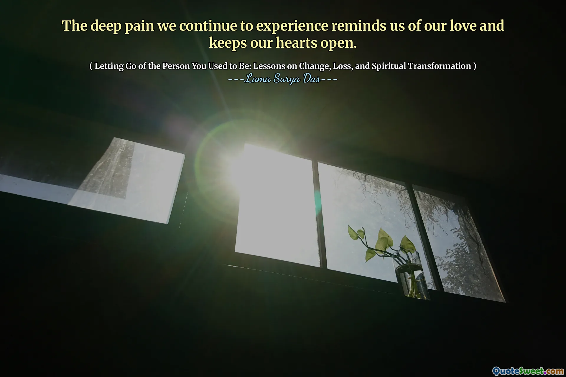 La douleur profonde que nous continuons à ressentir nous rappelle notre amour et garde notre cœur ouvert.