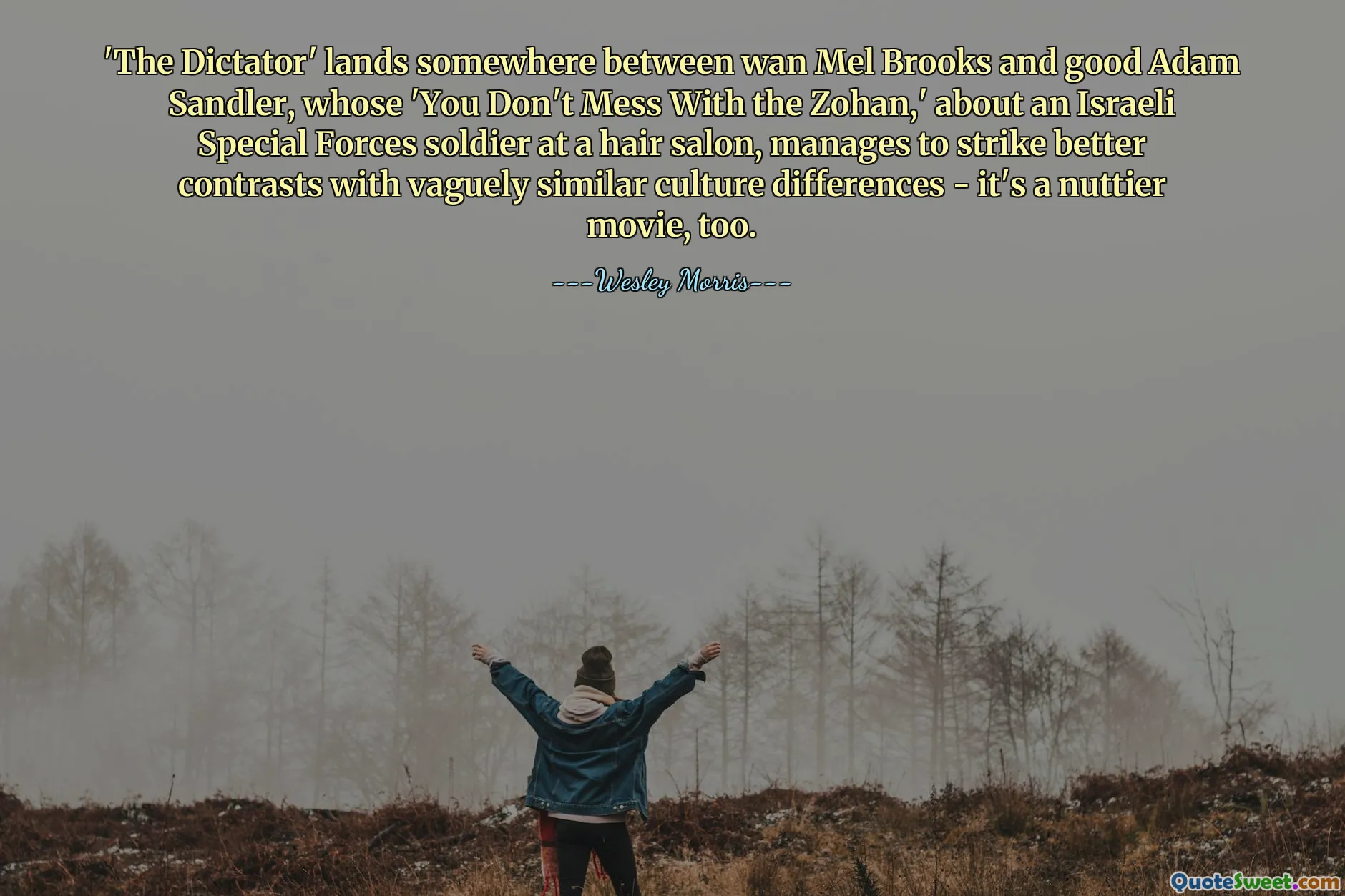 'The Dictator' lands somewhere between wan Mel Brooks and good Adam Sandler, whose 'You Don't Mess With the Zohan,' about an Israeli Special Forces soldier at a hair salon, manages to strike better contrasts with vaguely similar culture differences - it's a nuttier movie, too.