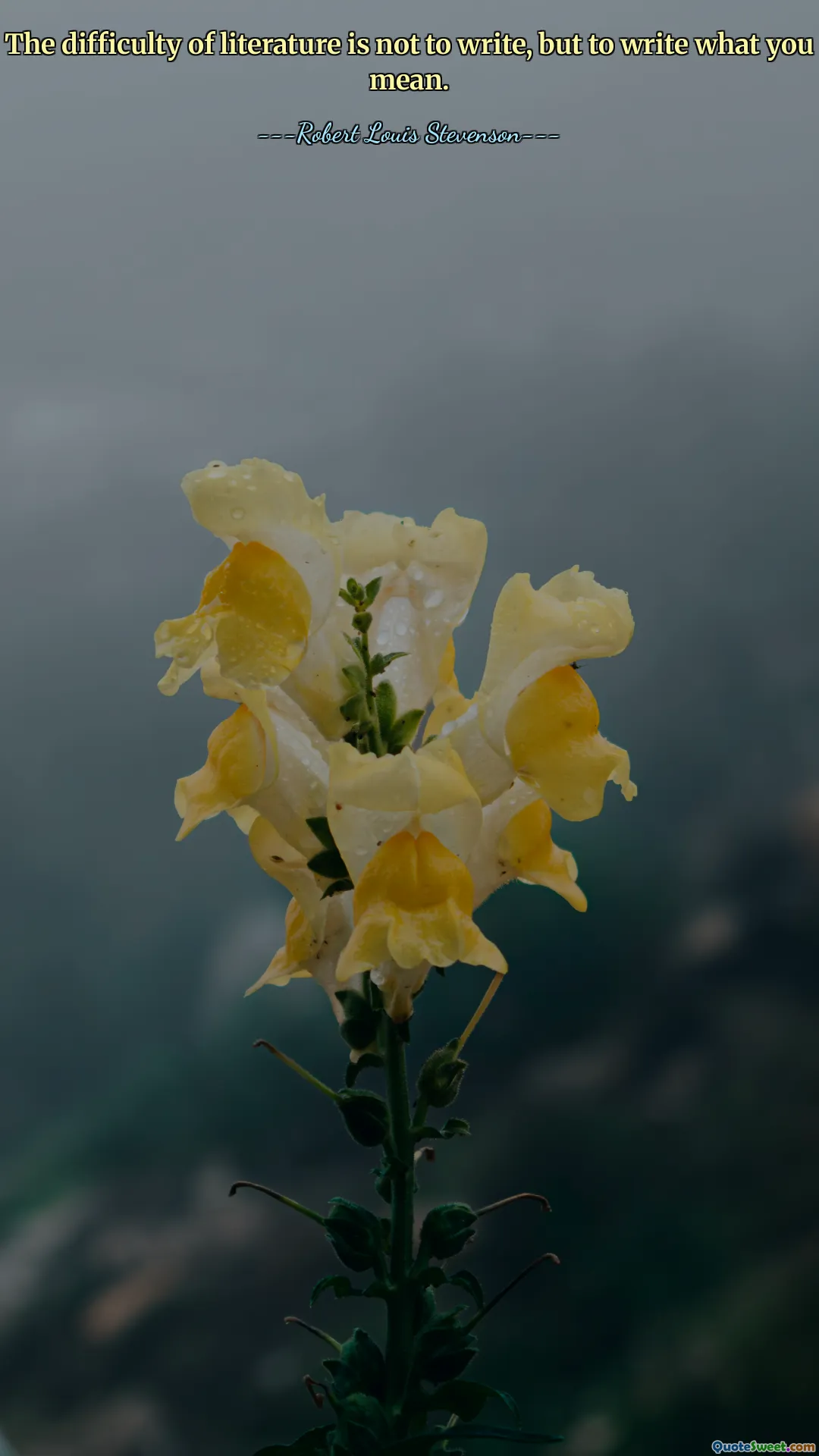 The difficulty of literature is not to write, but to write what you mean.