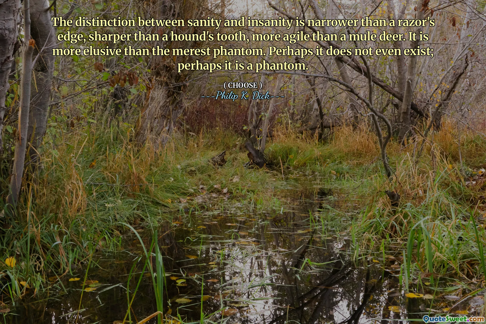 La distinción entre cordura y locura es más estrecha que la ventaja de una afeitadora, más nítida que el diente de un sabueso, más ágil que un ciervo mulas. Es más evasivo que el Merest Phantom. Quizás ni siquiera existe; Quizás es un fantasma.