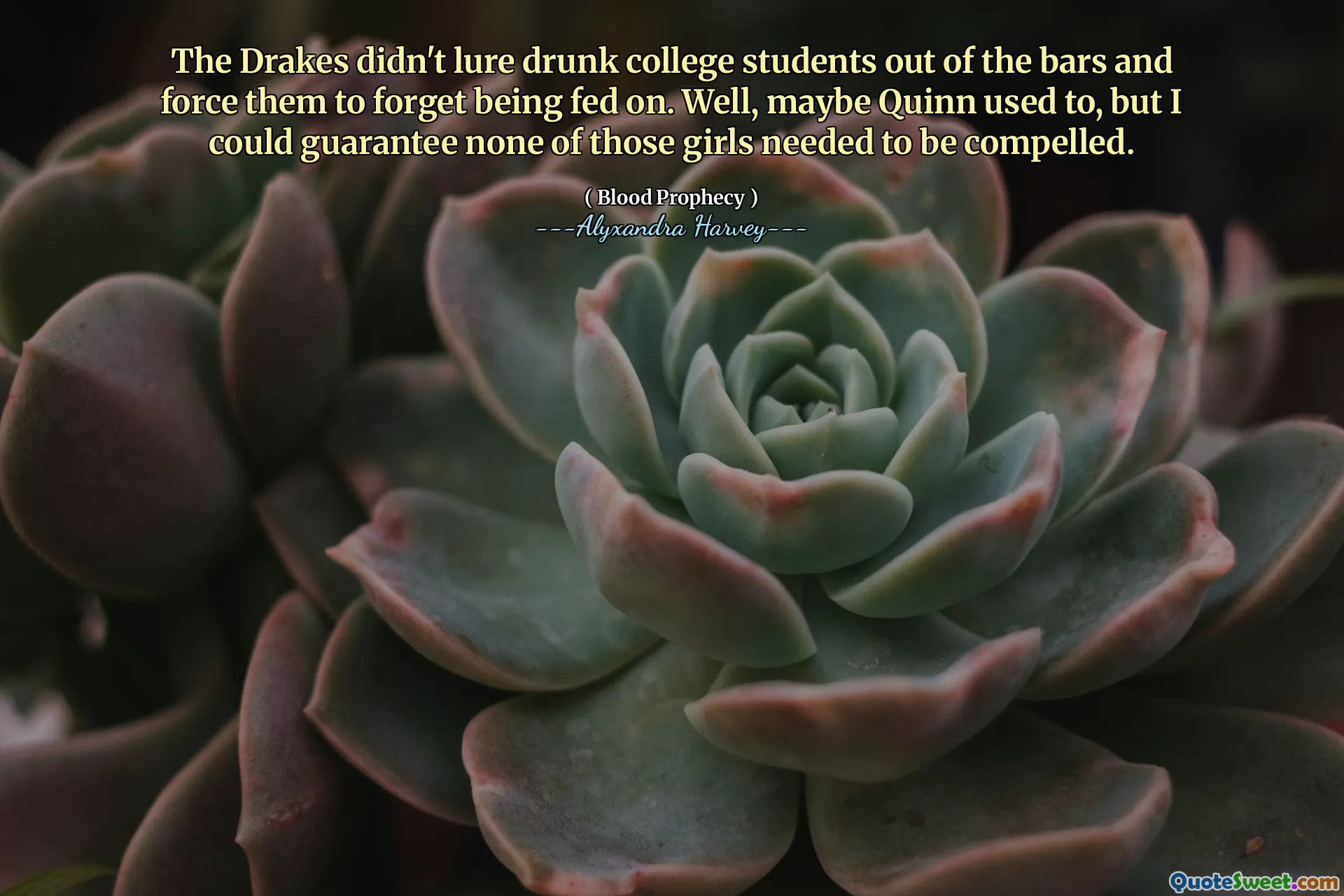 The Drakes didn't lure drunk college students out of the bars and force them to forget being fed on. Well, maybe Quinn used to, but I could guarantee none of those girls needed to be compelled.